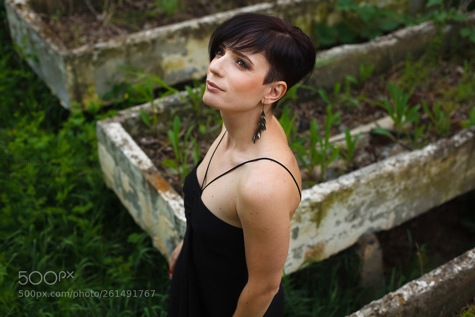 Canon EOS 5D Mark II sample photo. Untitled photography