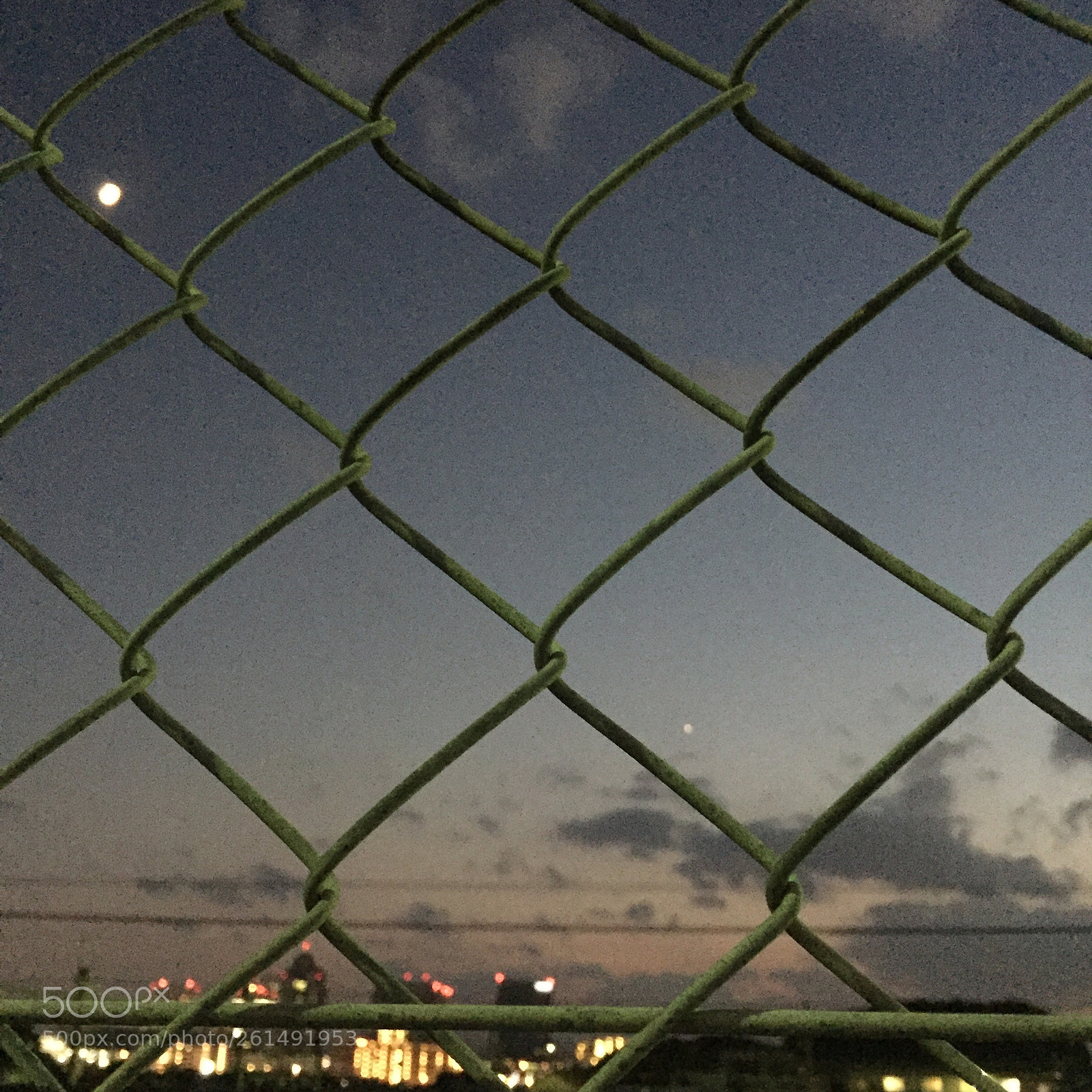 Apple iPhone 6 sample photo. Untitled photography