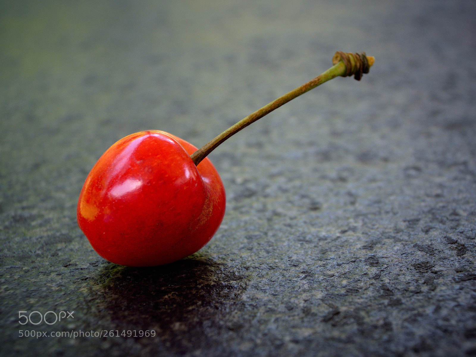 Fujifilm X-T2 sample photo. A piece of fruit photography