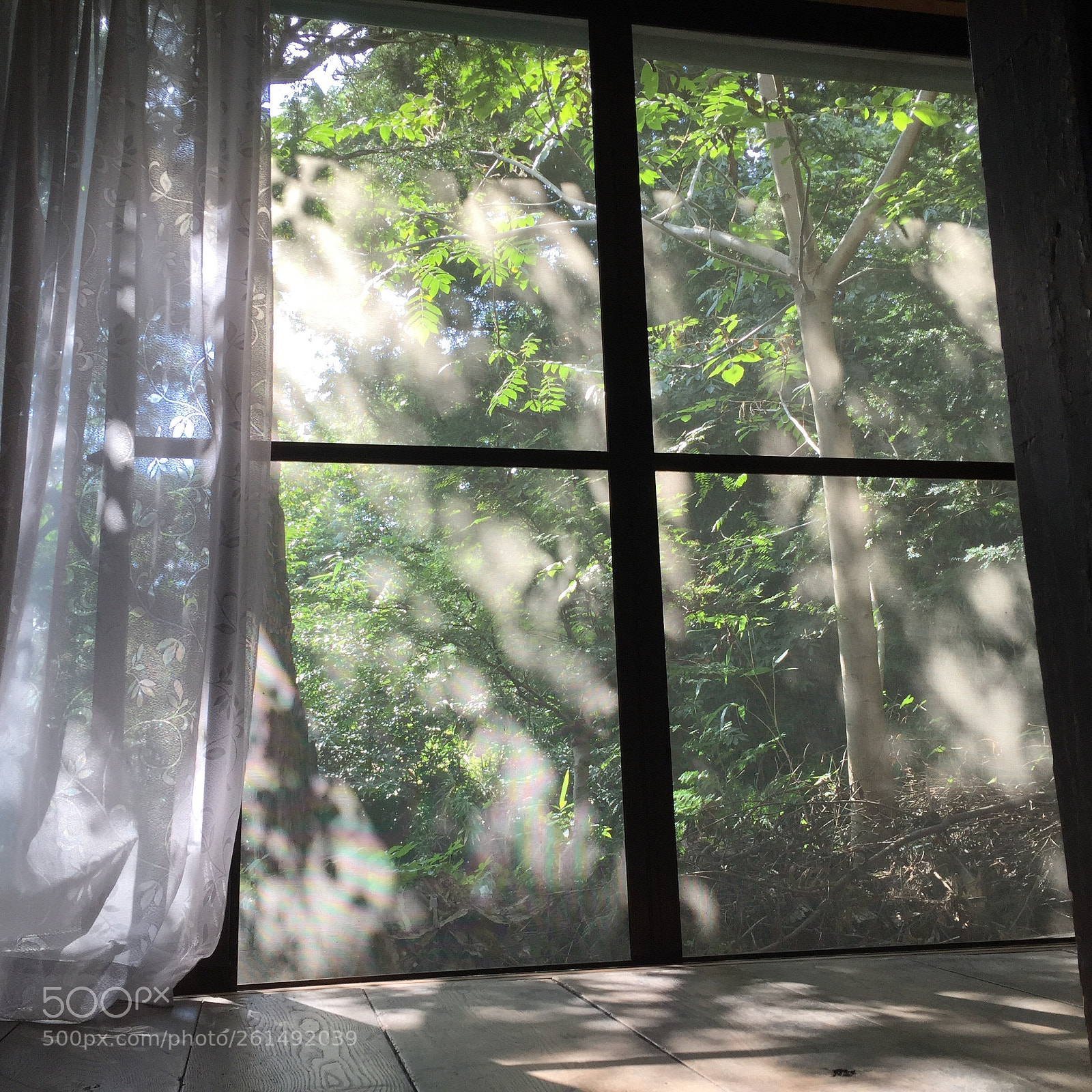 Apple iPhone 6 sample photo. Untitled photography