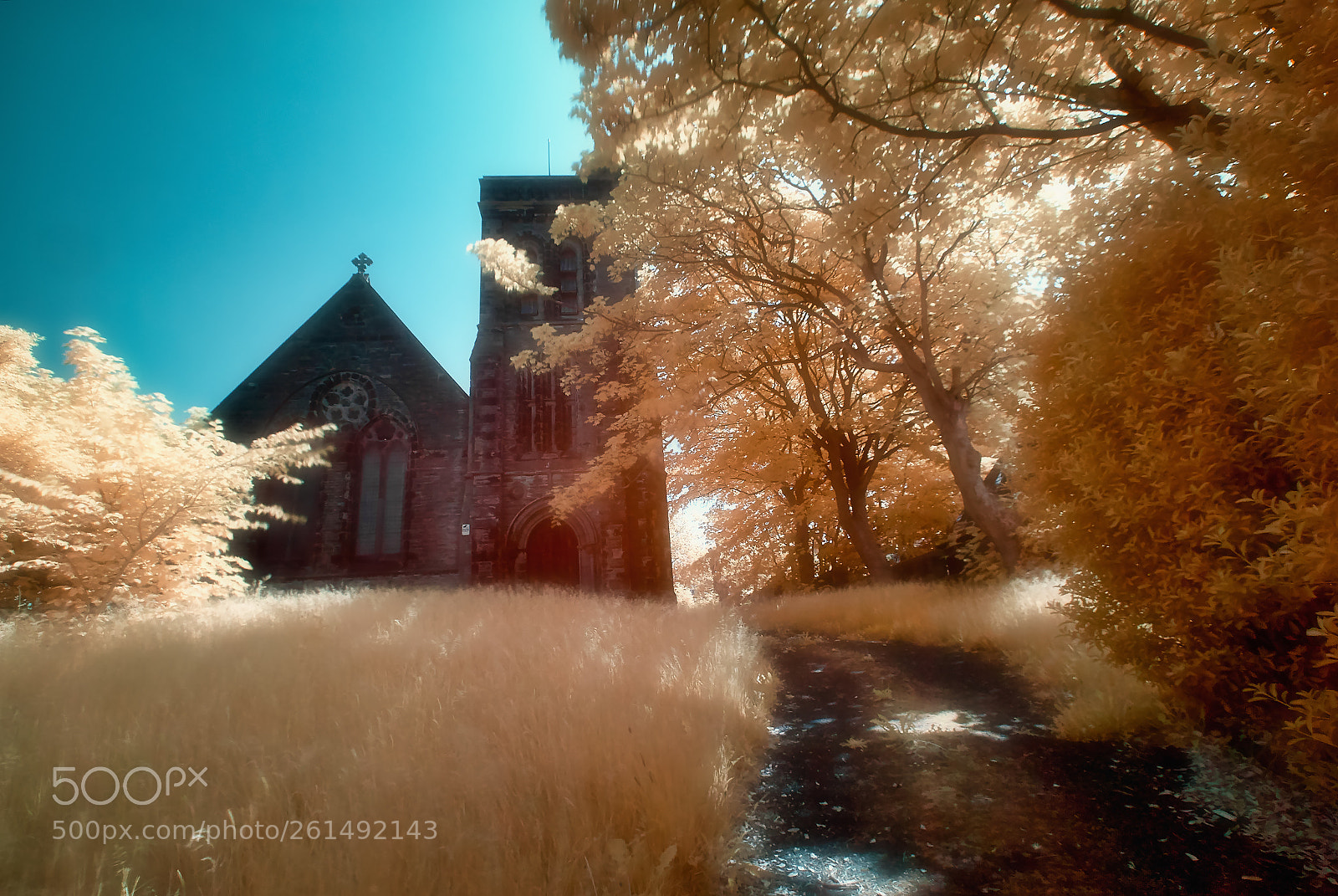 Nikon D200 sample photo. Abandoned church infared 590nm photography