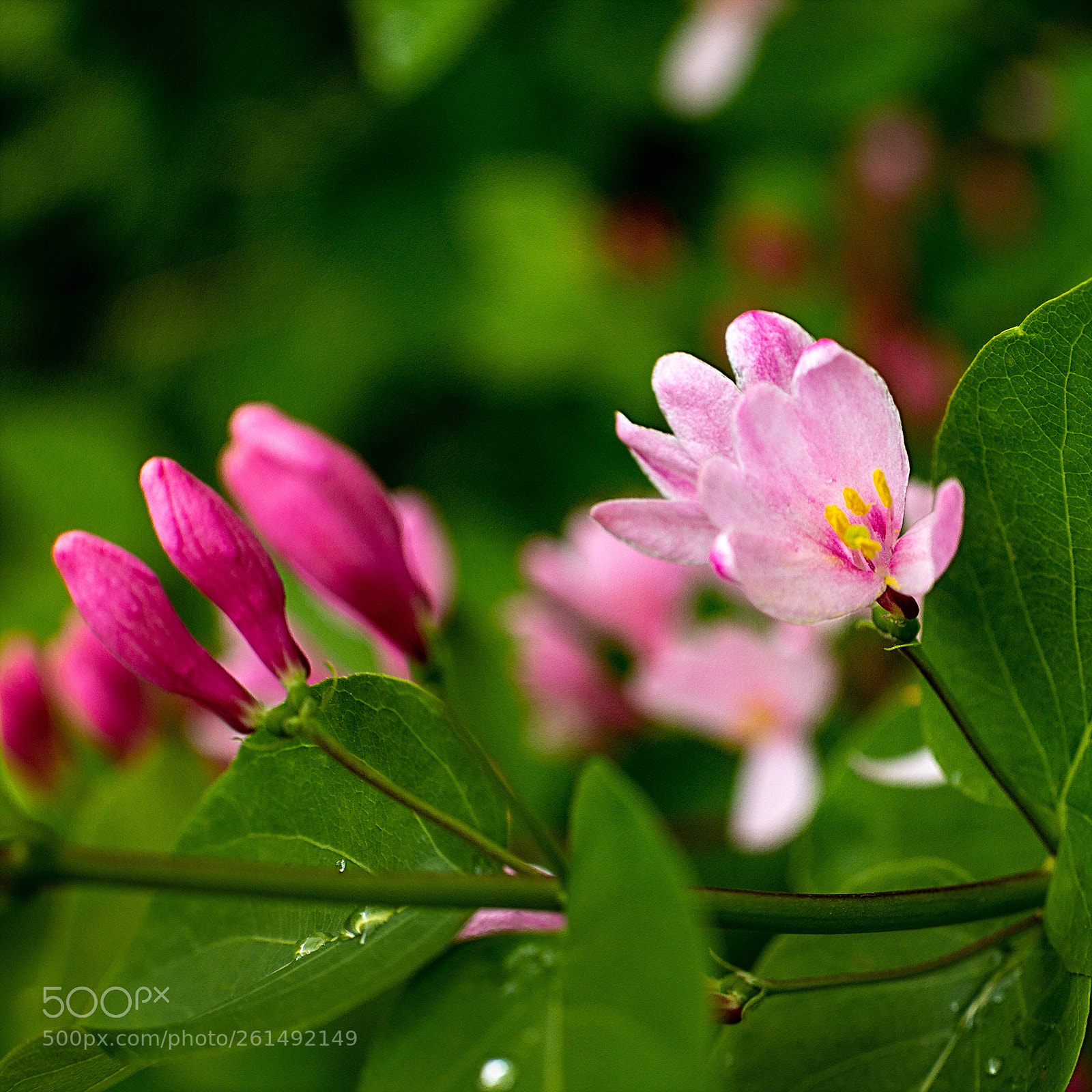 Canon EOS 6D sample photo. Untitled photography
