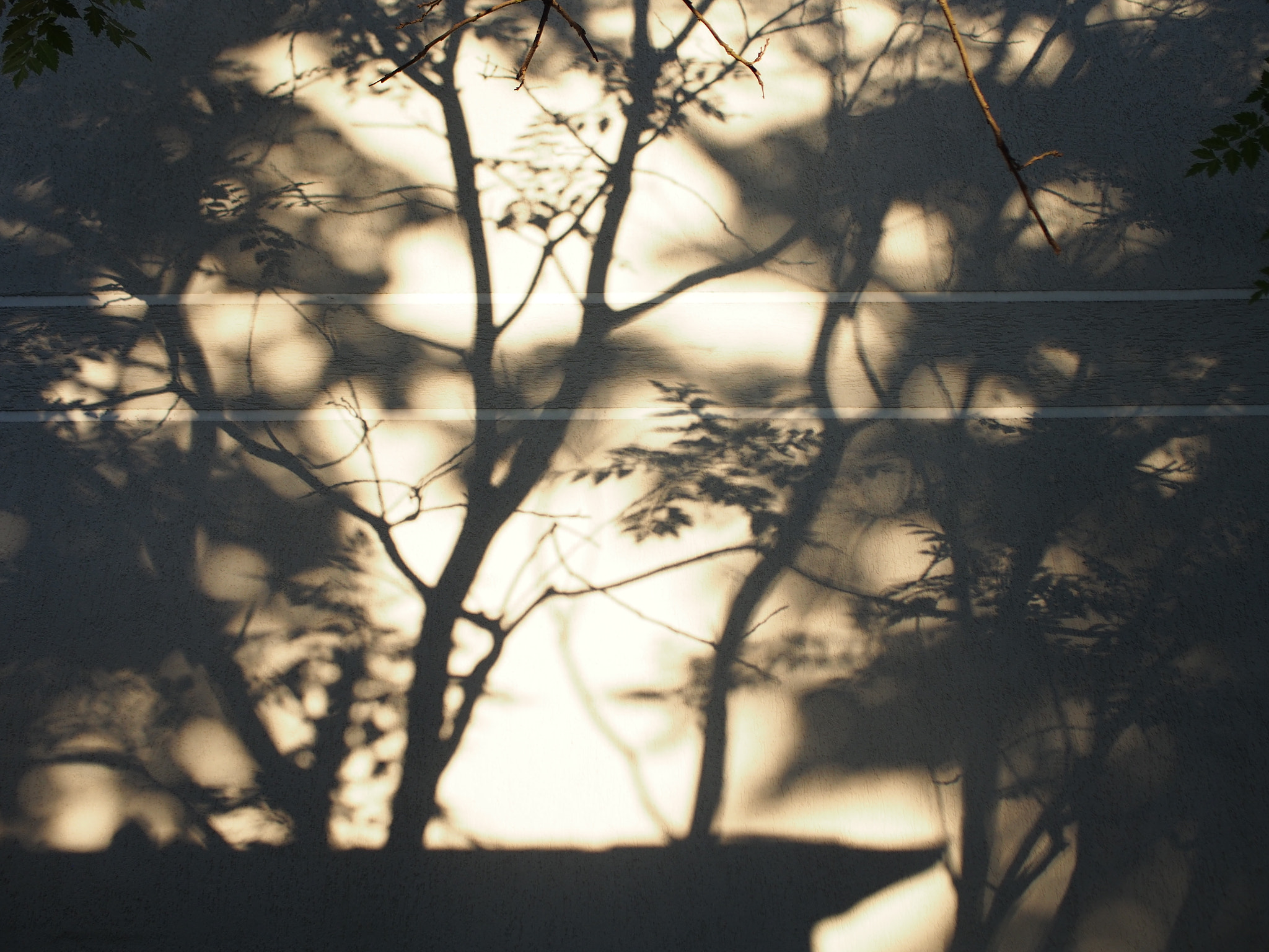 Olympus PEN E-PL6 sample photo. Shadows photography