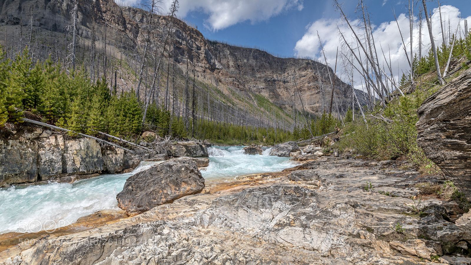 Canon EOS 5D Mark IV sample photo. Tokumm creek photography