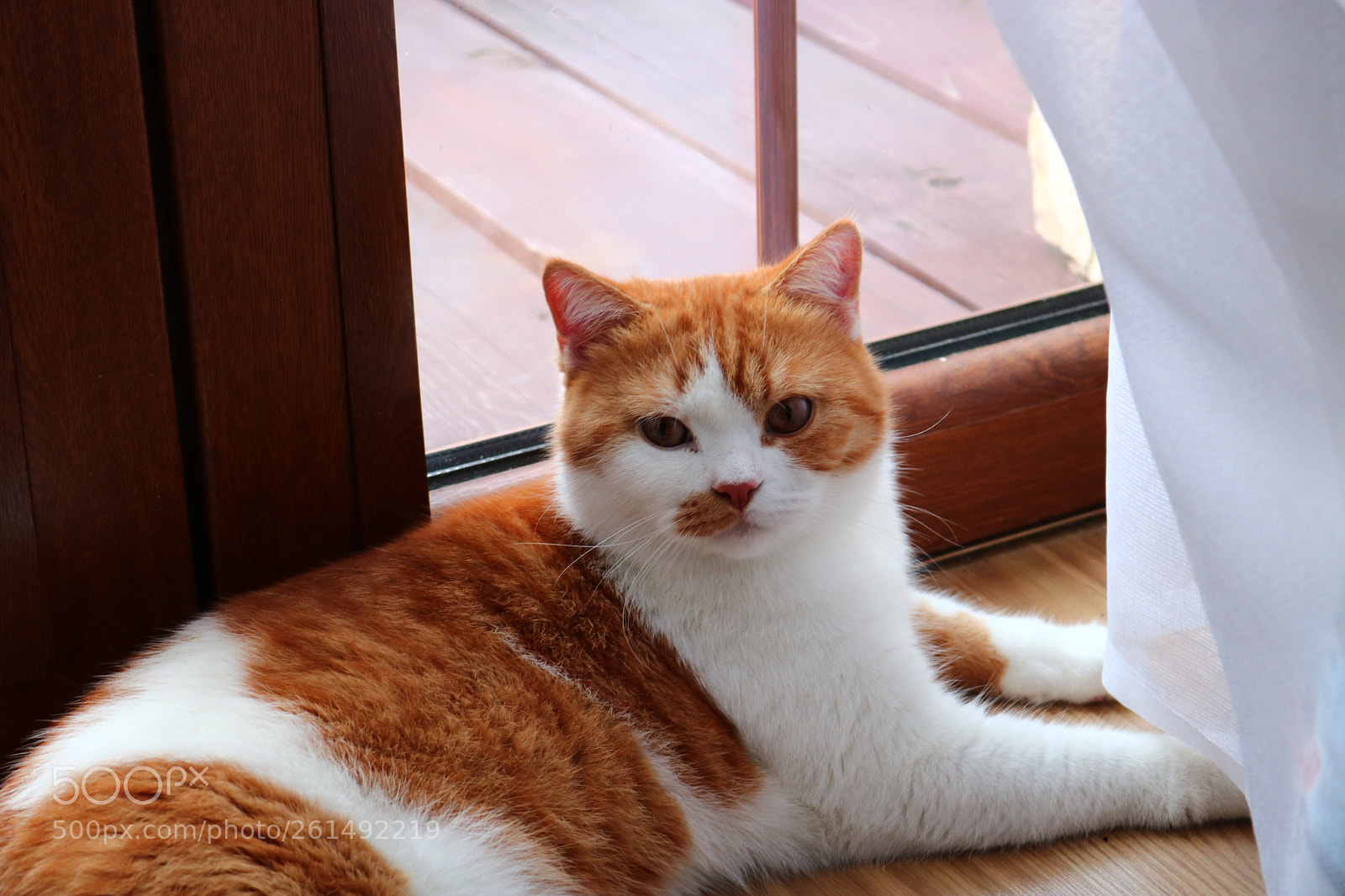 Canon EOS 750D (EOS Rebel T6i / EOS Kiss X8i) sample photo. Untitled photography