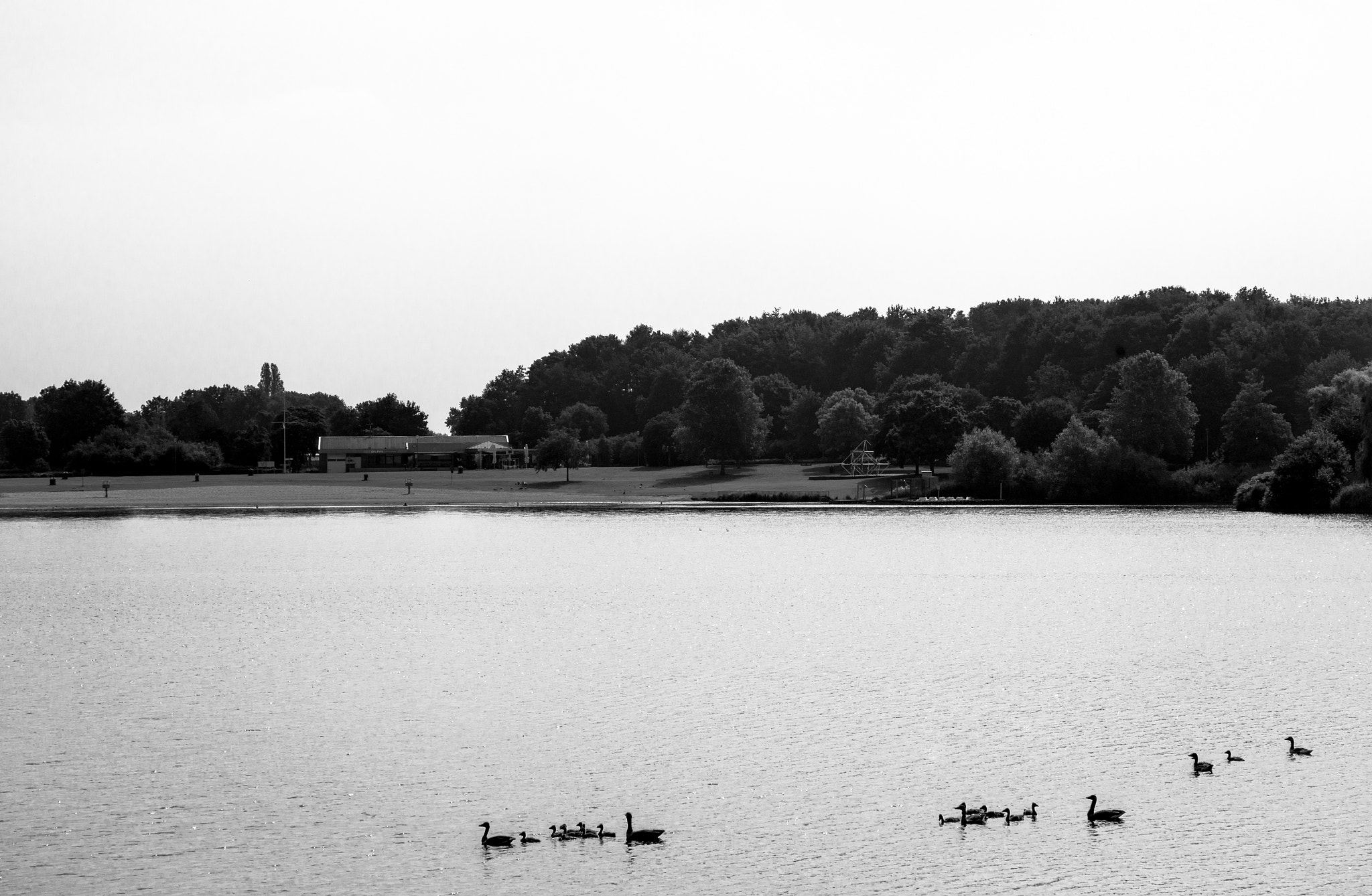 Pentax K-1 sample photo. Ducks photography