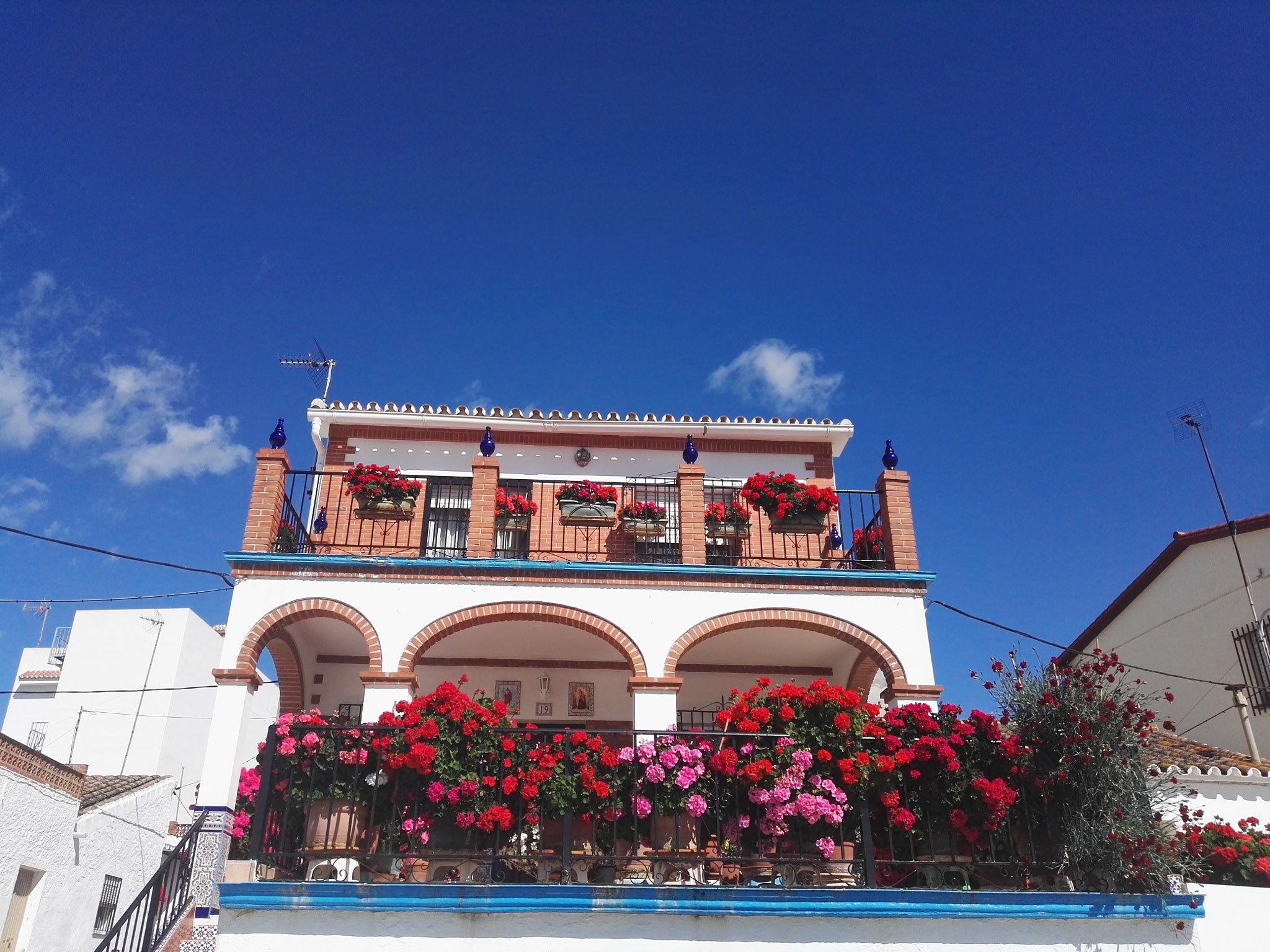 HUAWEI P8 sample photo. Geranios en la axarquía photography