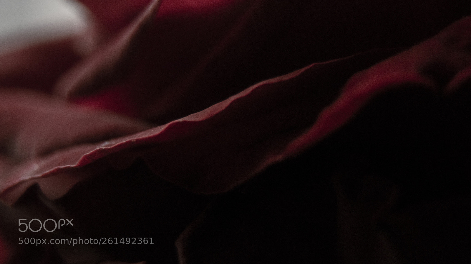 Canon EOS 80D sample photo. Inside photography