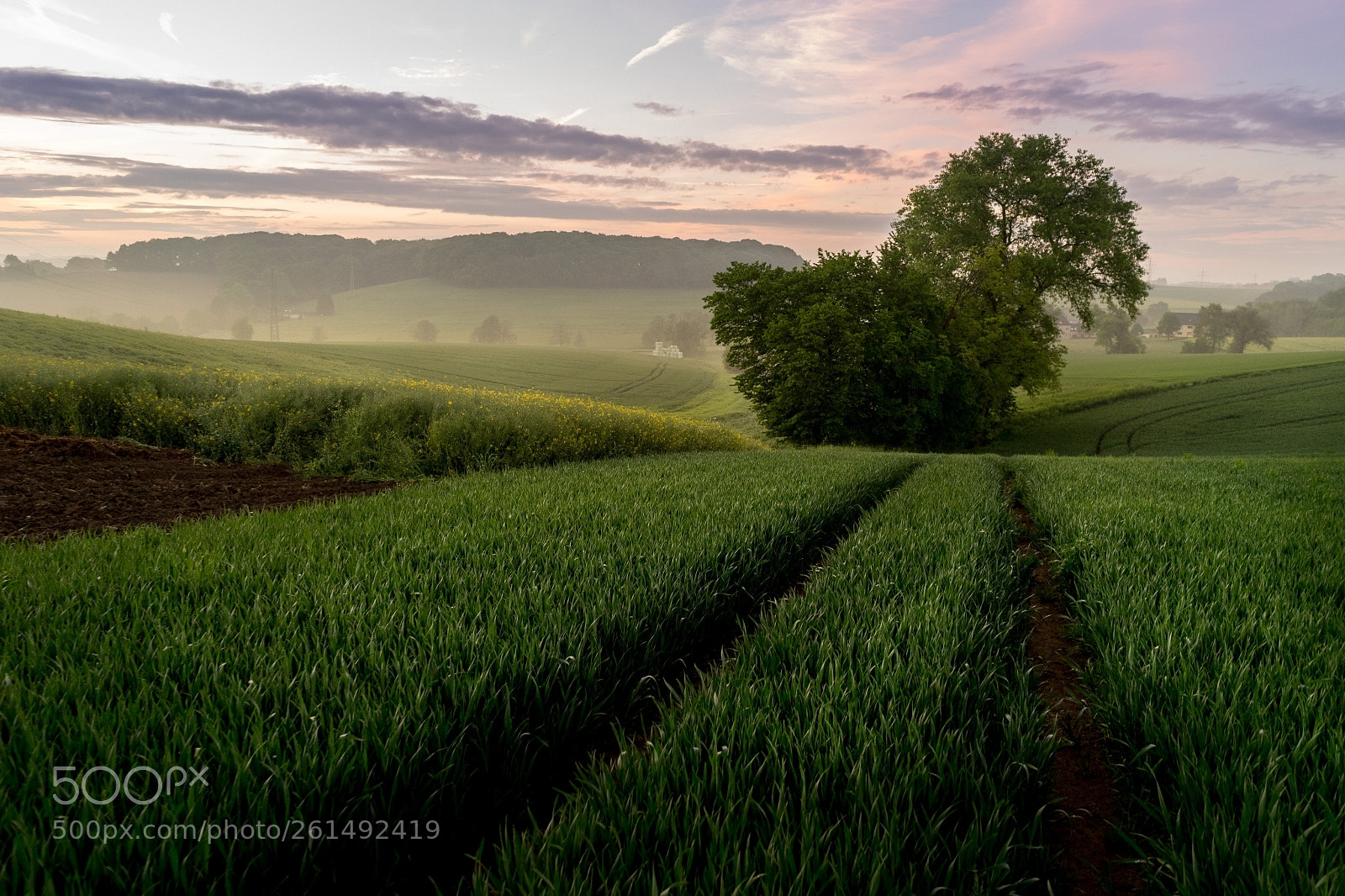 Sony a7 II sample photo. Frankholzhäuschen walk photography
