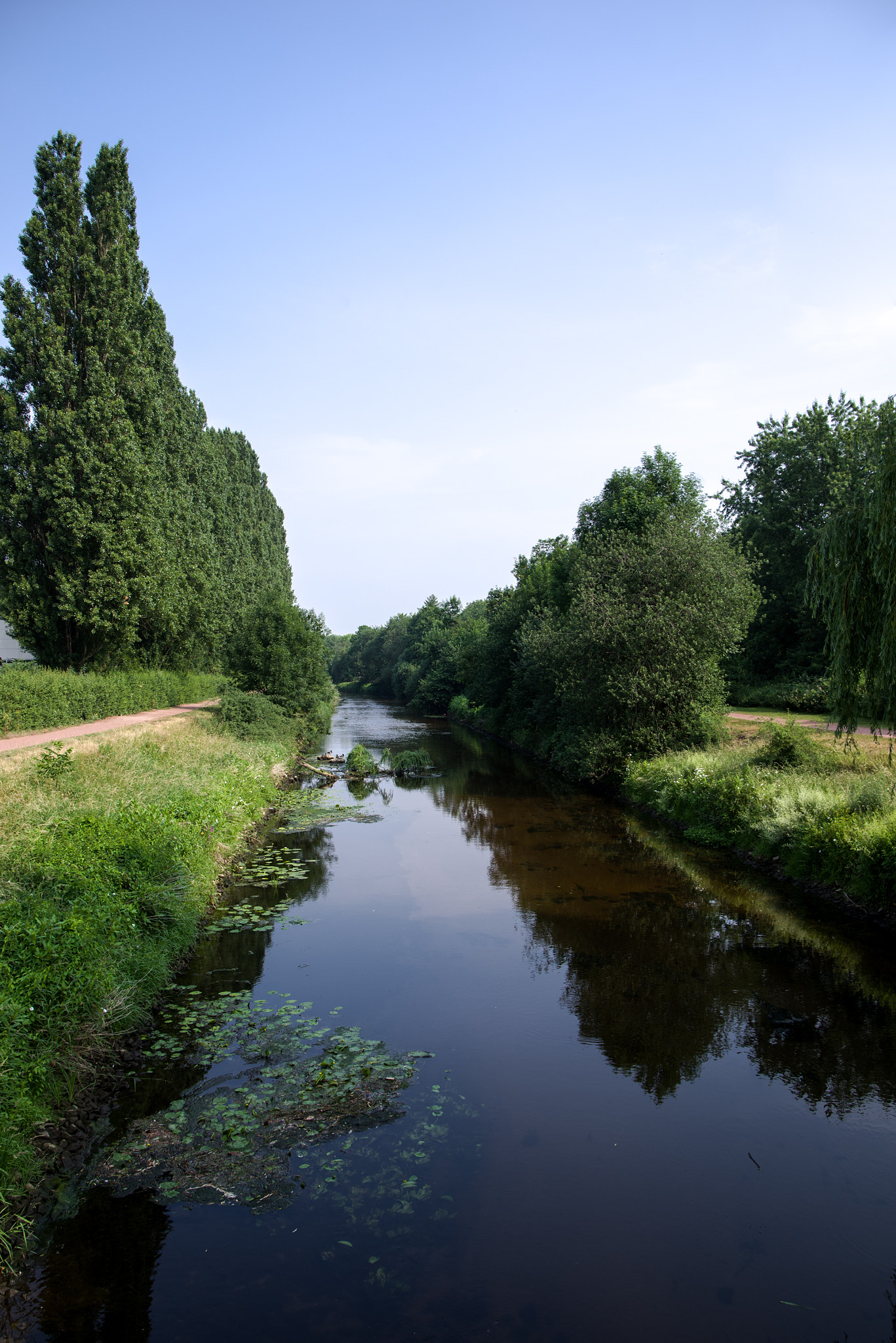 Pentax K-1 sample photo. River and green trees photography