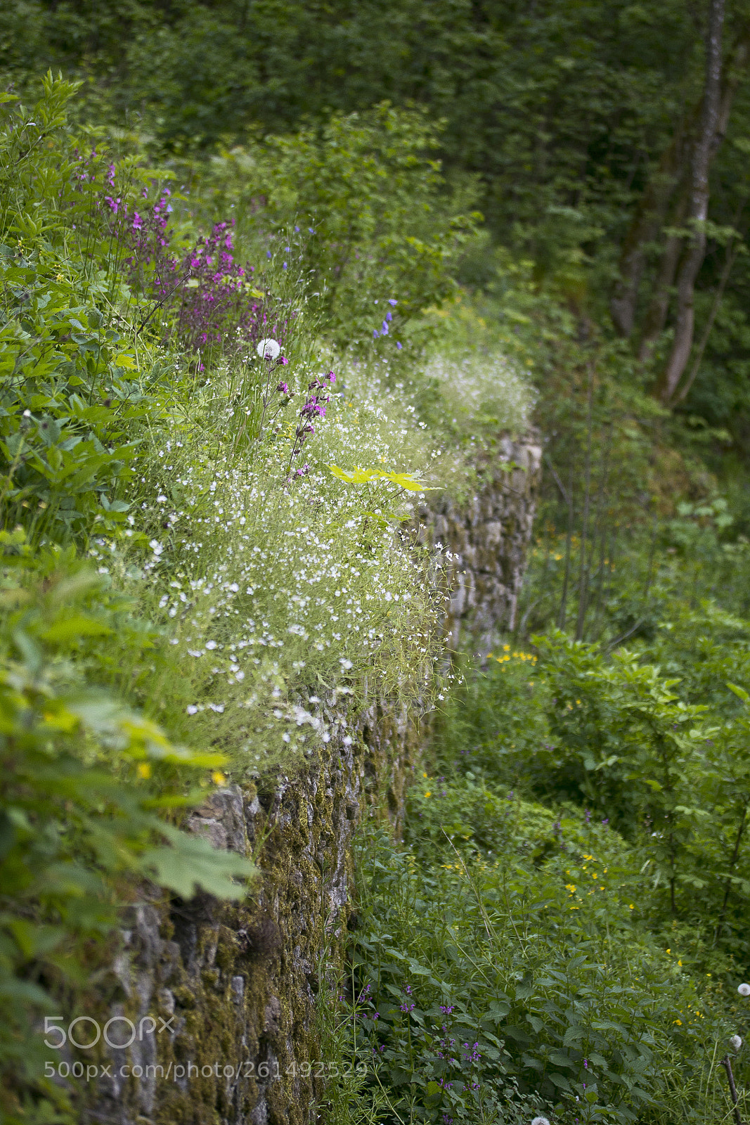 Canon EOS 60D sample photo. Jahresstiege gramastetten photography