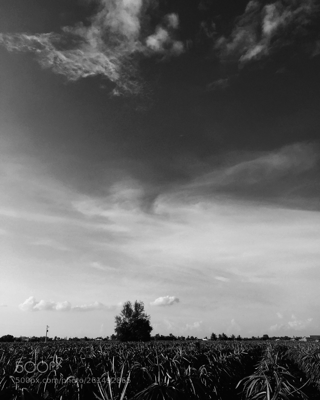 Apple iPhone 6 sample photo. Cloud at countryside photography