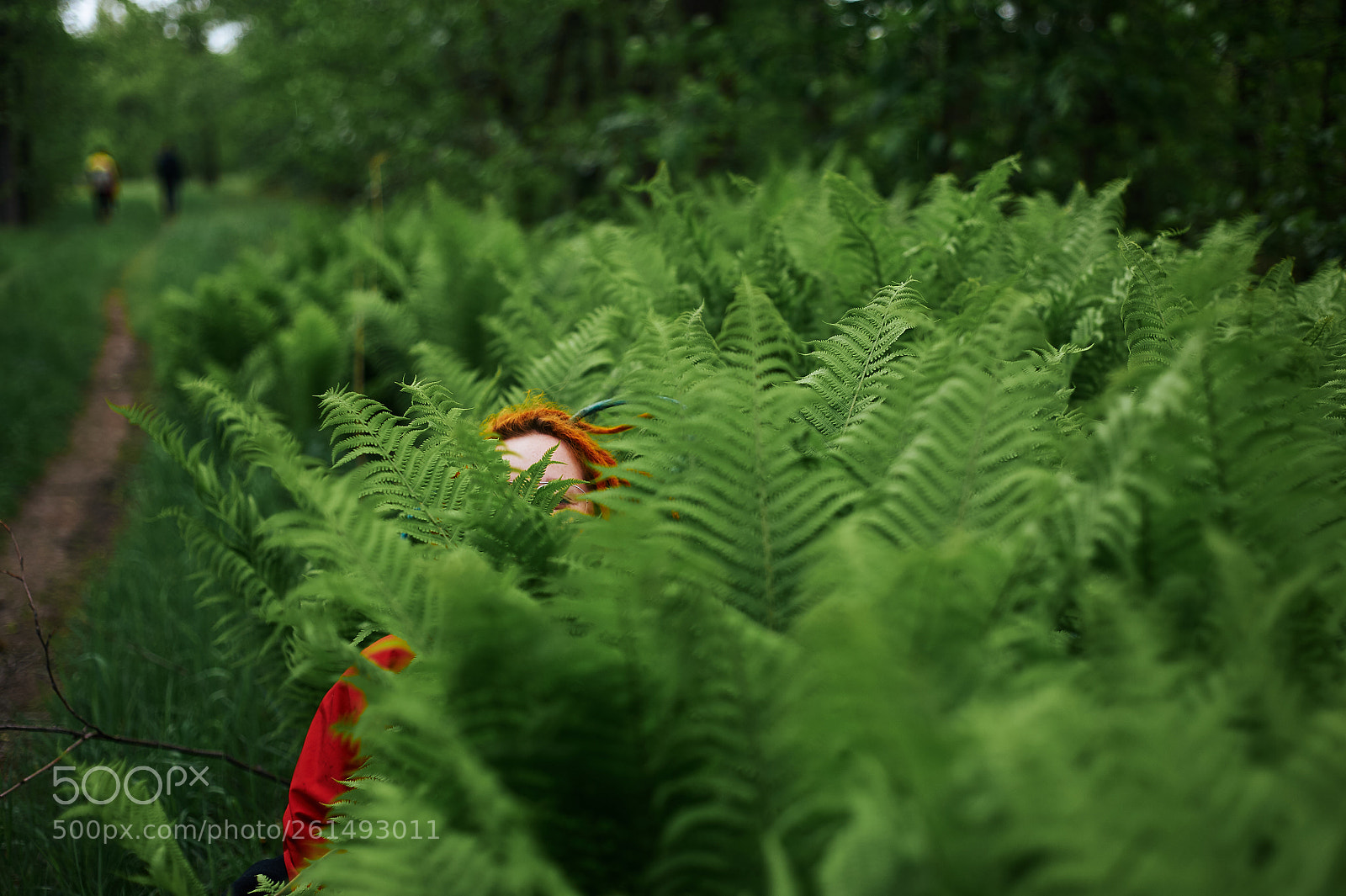 Nikon D700 sample photo. Fernwoman photography