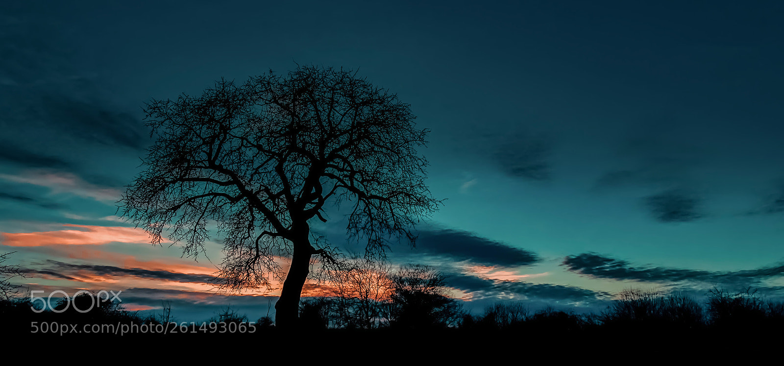 Sony Cyber-shot DSC-HX400V sample photo. After sunset photography