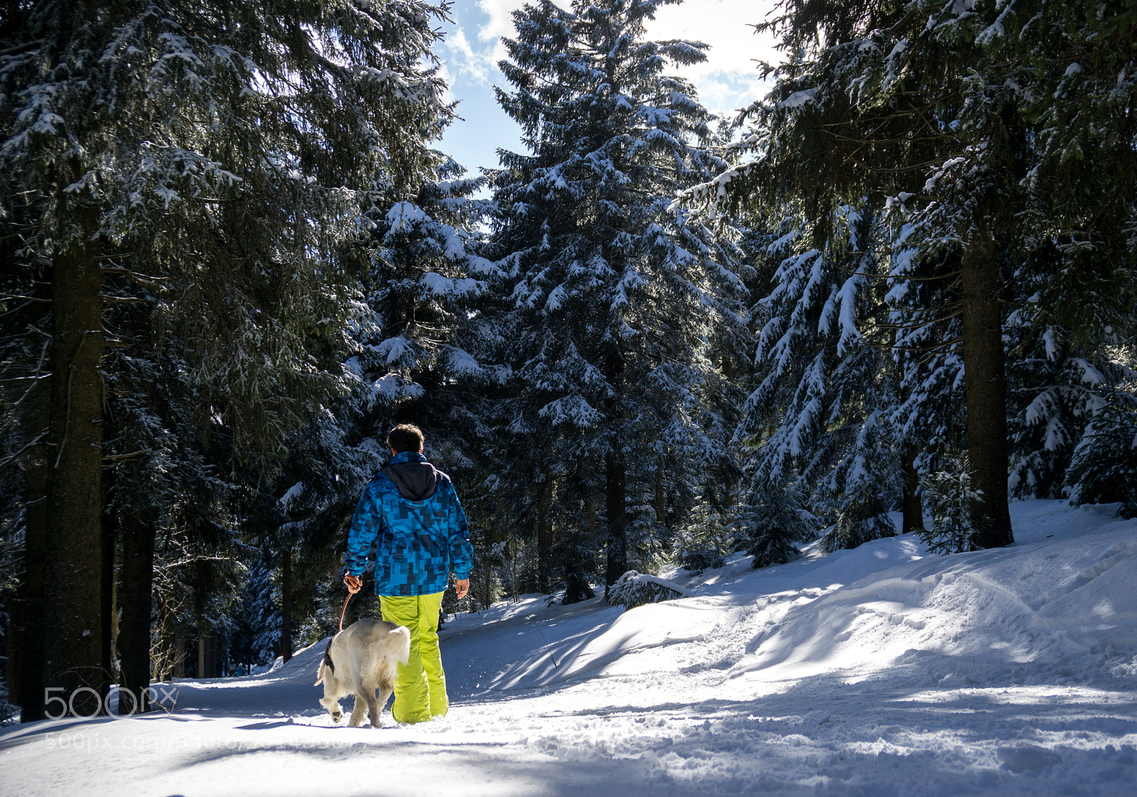 Sony a6000 sample photo. Winterwalk photography