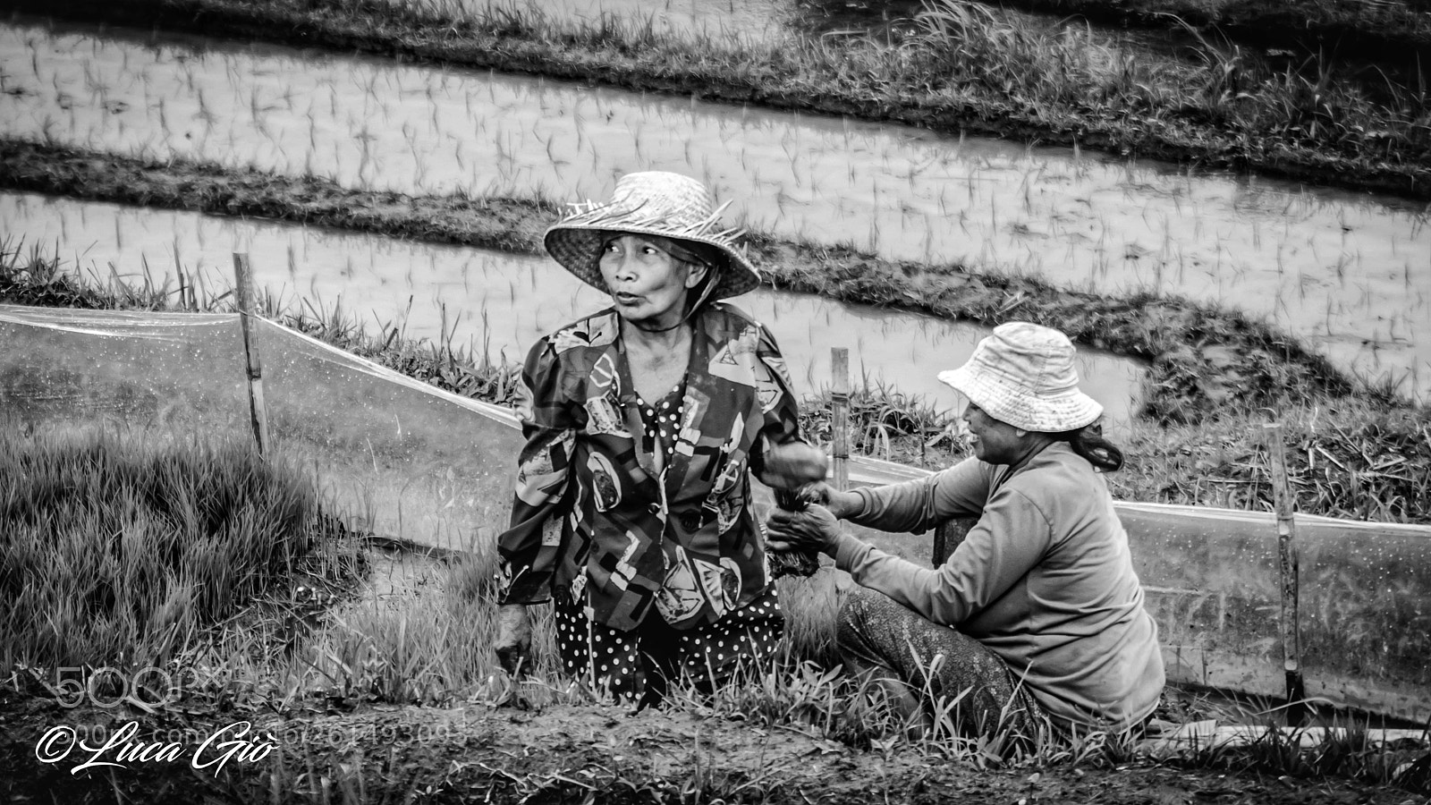 Canon EOS 80D sample photo. Untitled photography