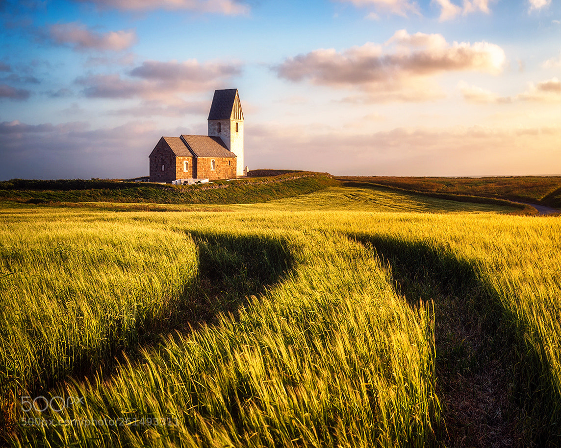 Nikon D610 sample photo. Beautiful denmark photography