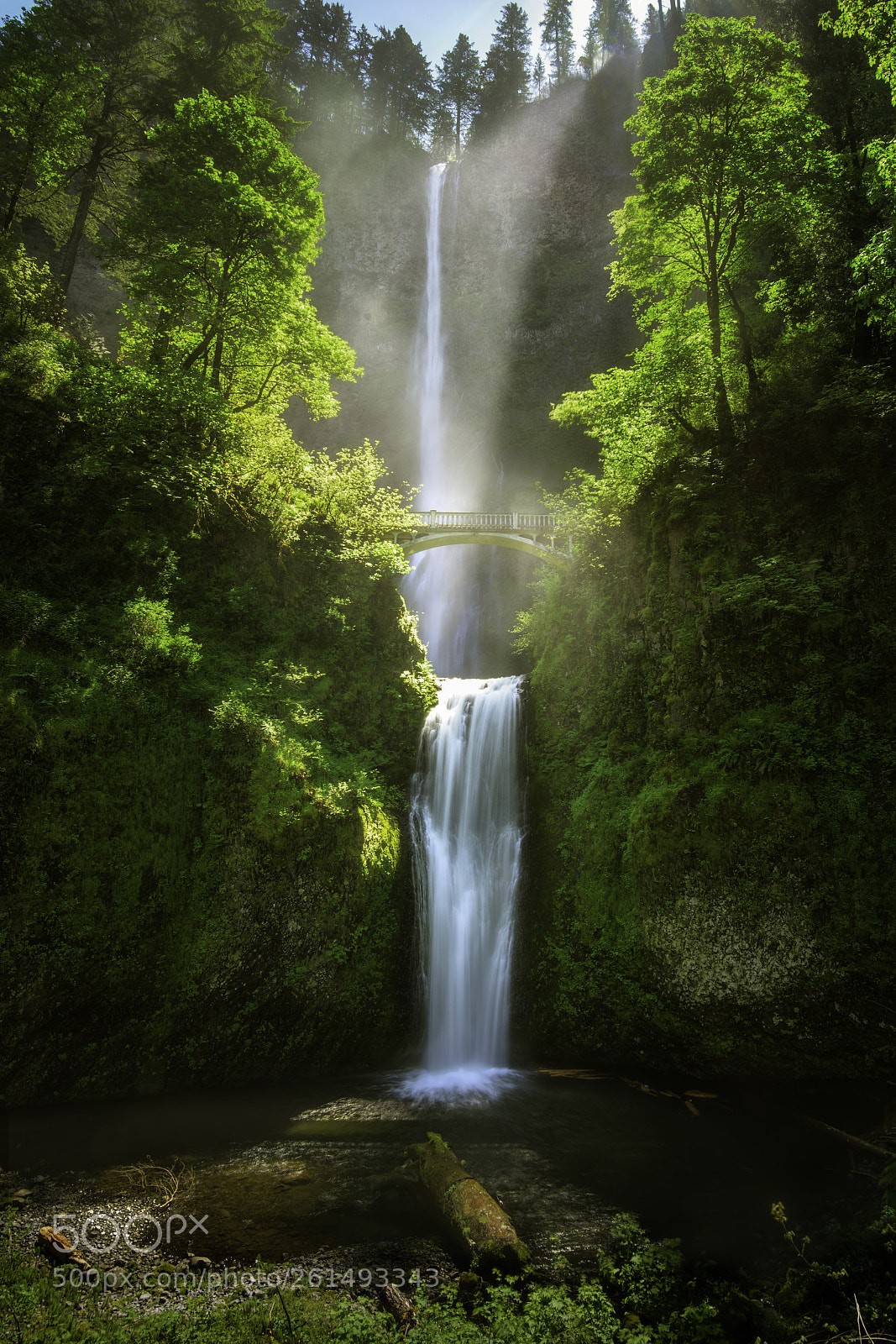 Nikon D750 sample photo. Multnomah falls photography