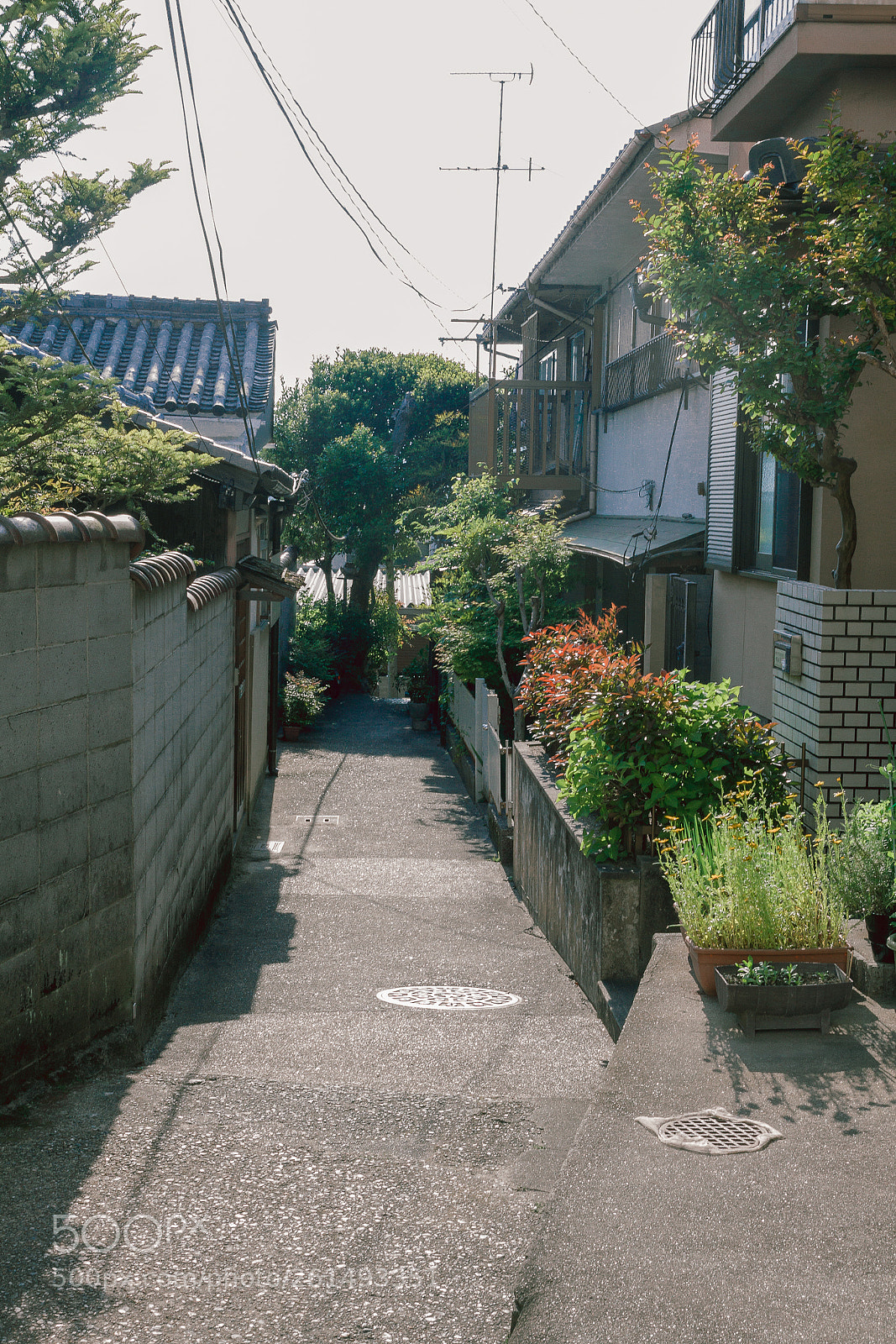 Canon EOS 50D sample photo. Img photography
