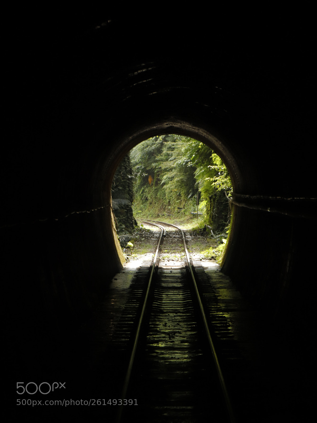 Canon EOS 77D (EOS 9000D / EOS 770D) sample photo. The tunnel  photography
