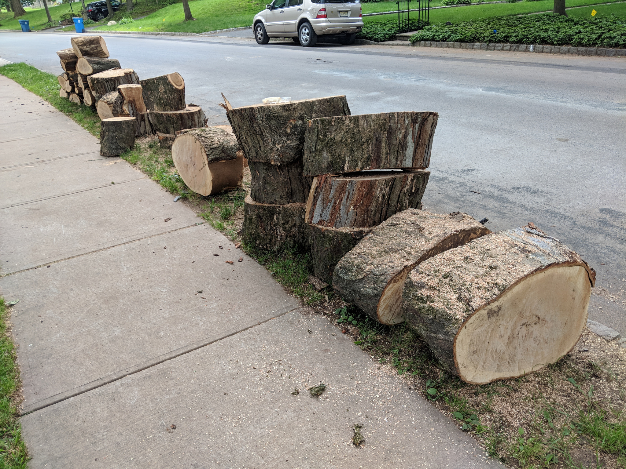 Google Pixel 2 XL sample photo. Free firewood photography