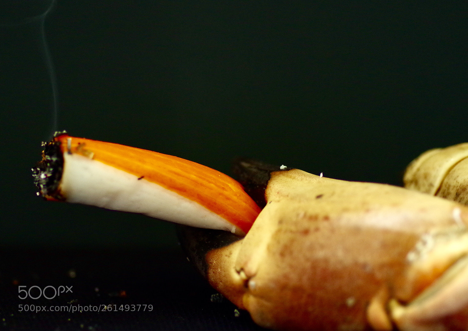 Pentax K-30 sample photo. No self-respect photography