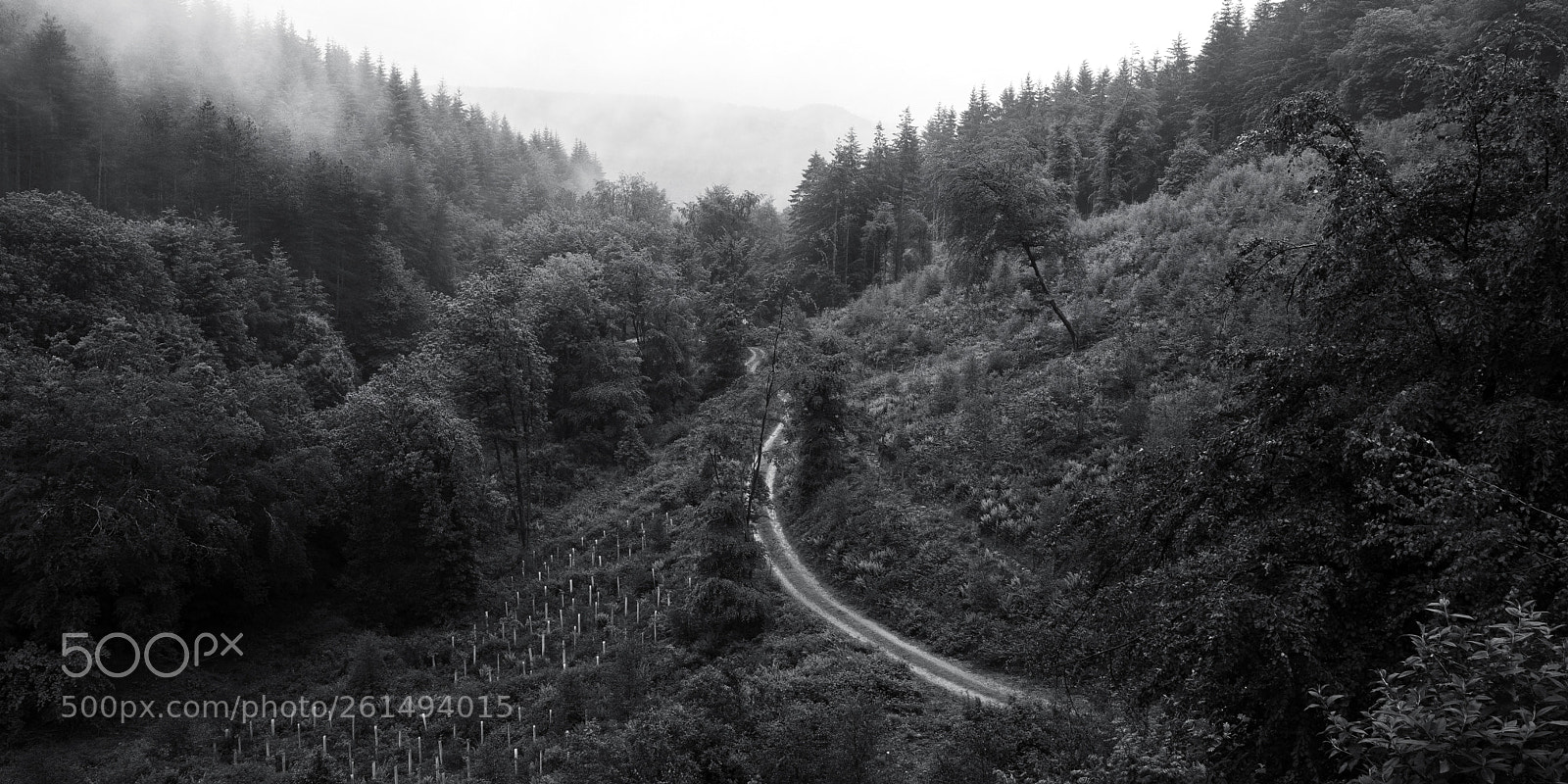 Canon EOS 6D Mark II sample photo. Valley track photography