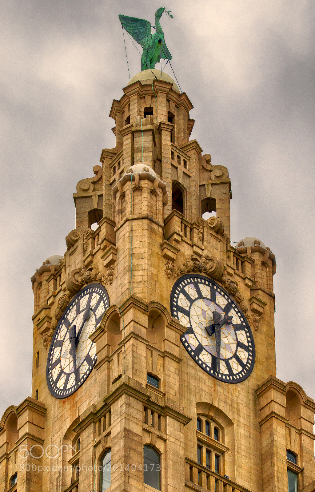 Nikon D5100 sample photo. Liverbird photography