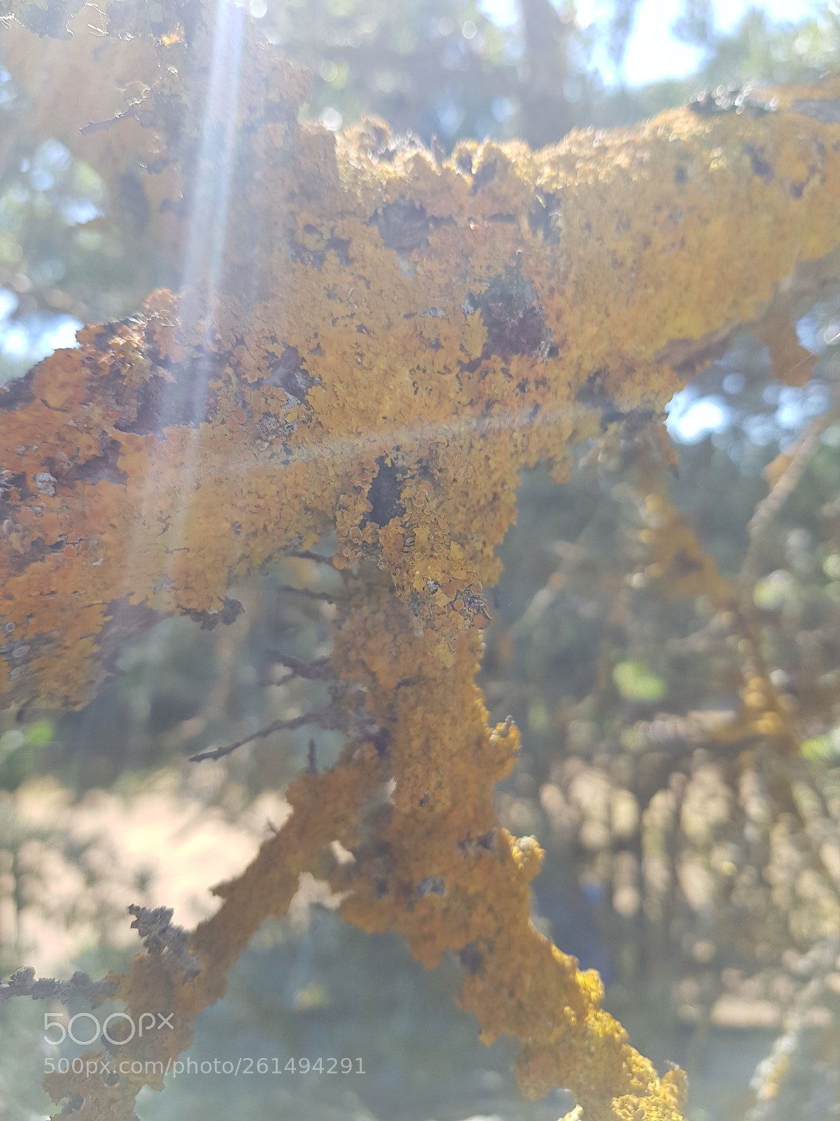 Samsung Galaxy S8+ sample photo. Untitled photography