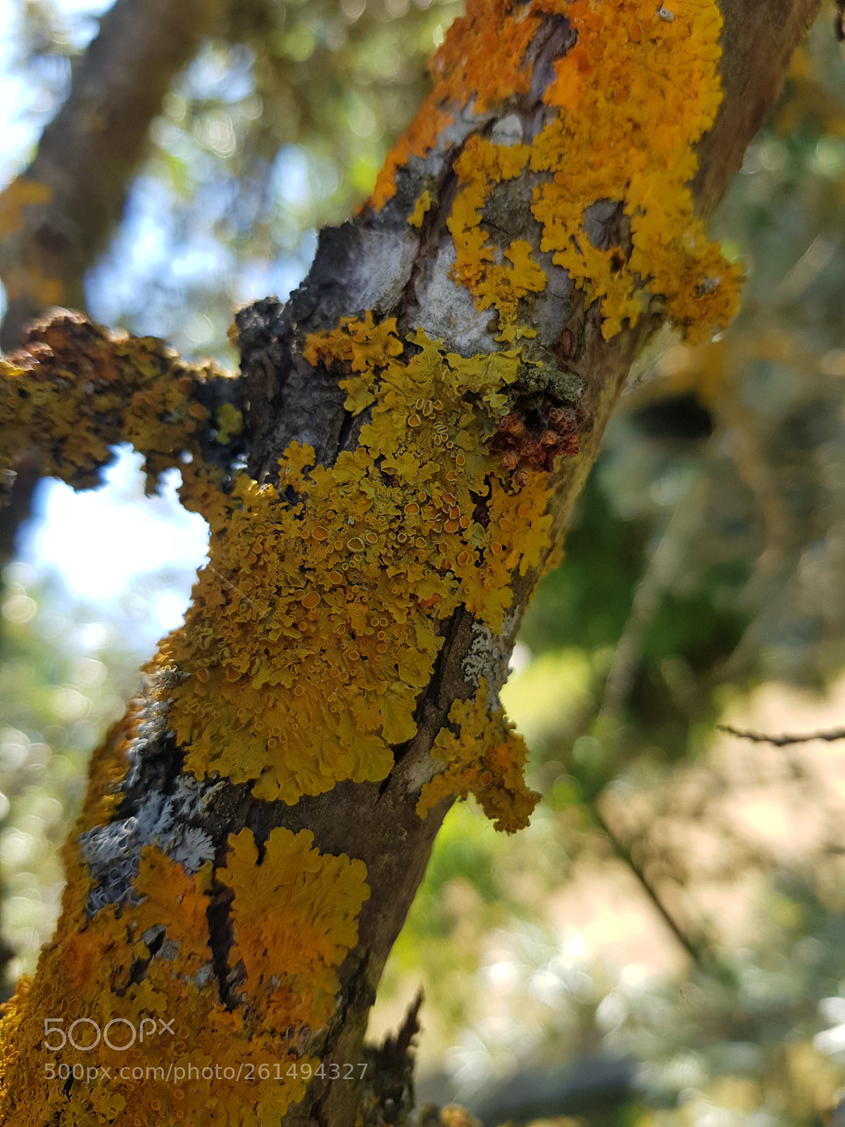 Samsung Galaxy S8+ sample photo. Untitled photography
