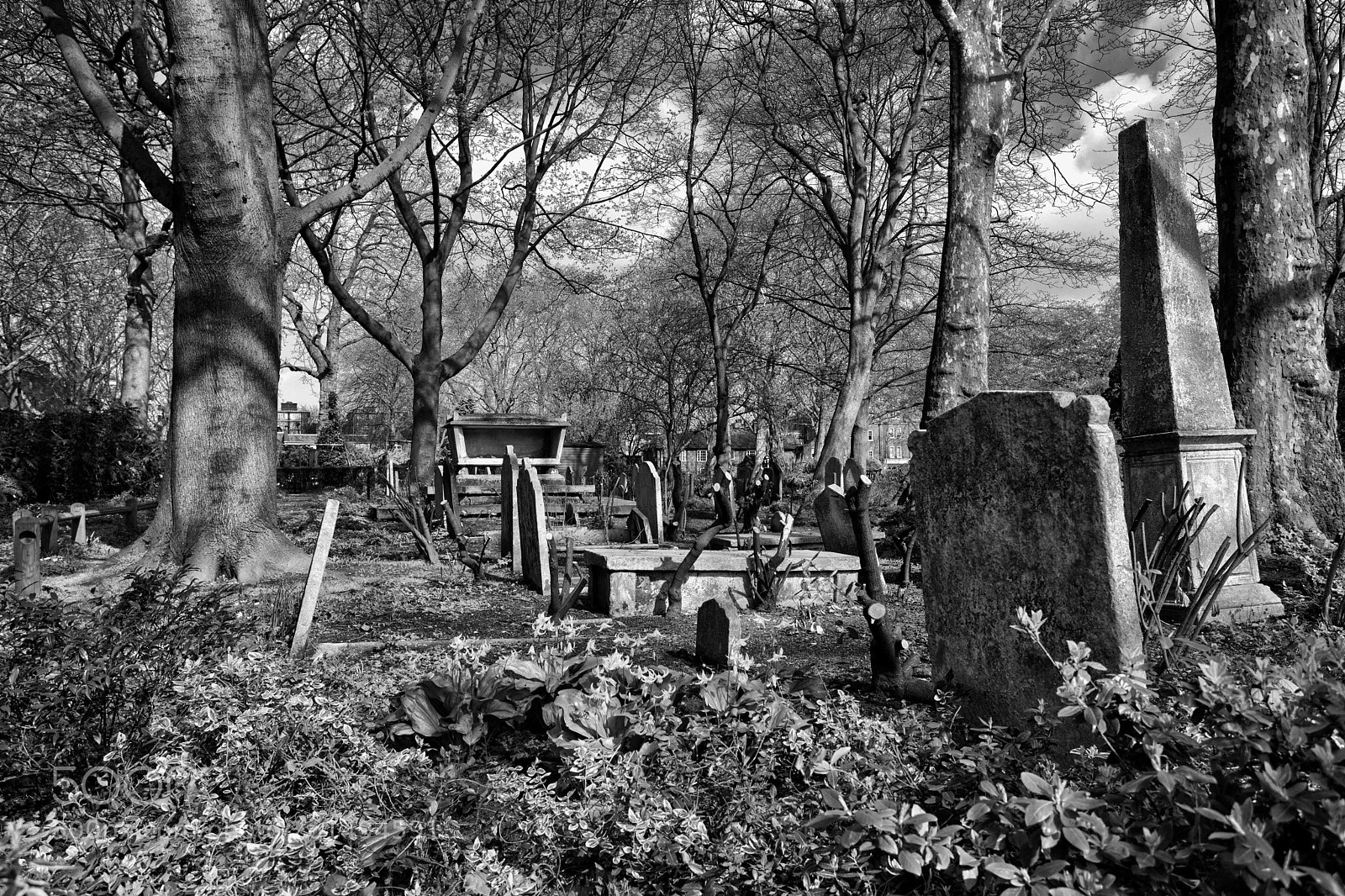 Canon EOS 5D Mark II sample photo. Disused graveyard photography