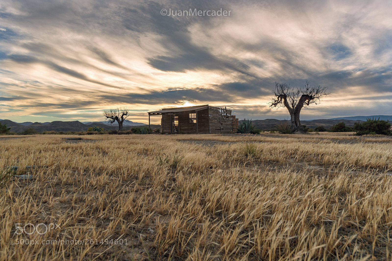 Nikon D750 sample photo. Desierto de tabernas photography