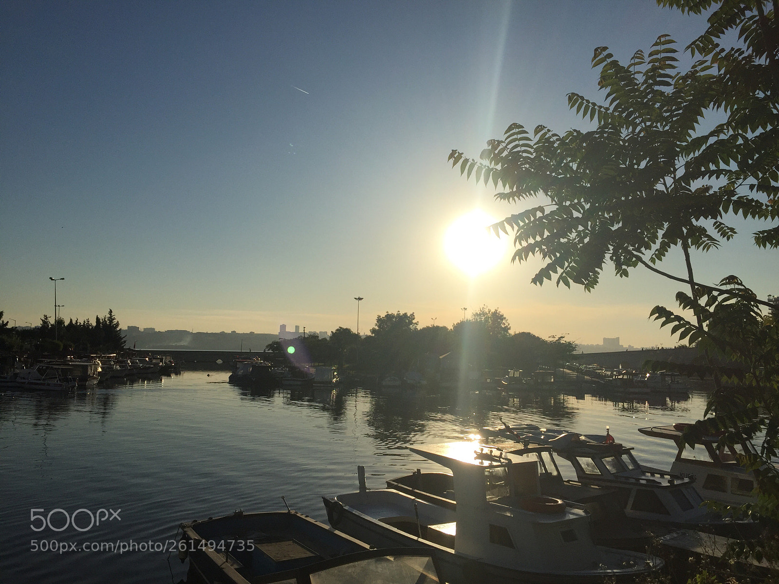 Apple iPhone 6 sample photo. ☀️ photography