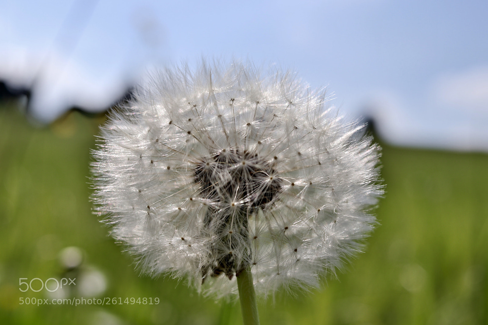 Canon EOS 80D sample photo. Untitled photography
