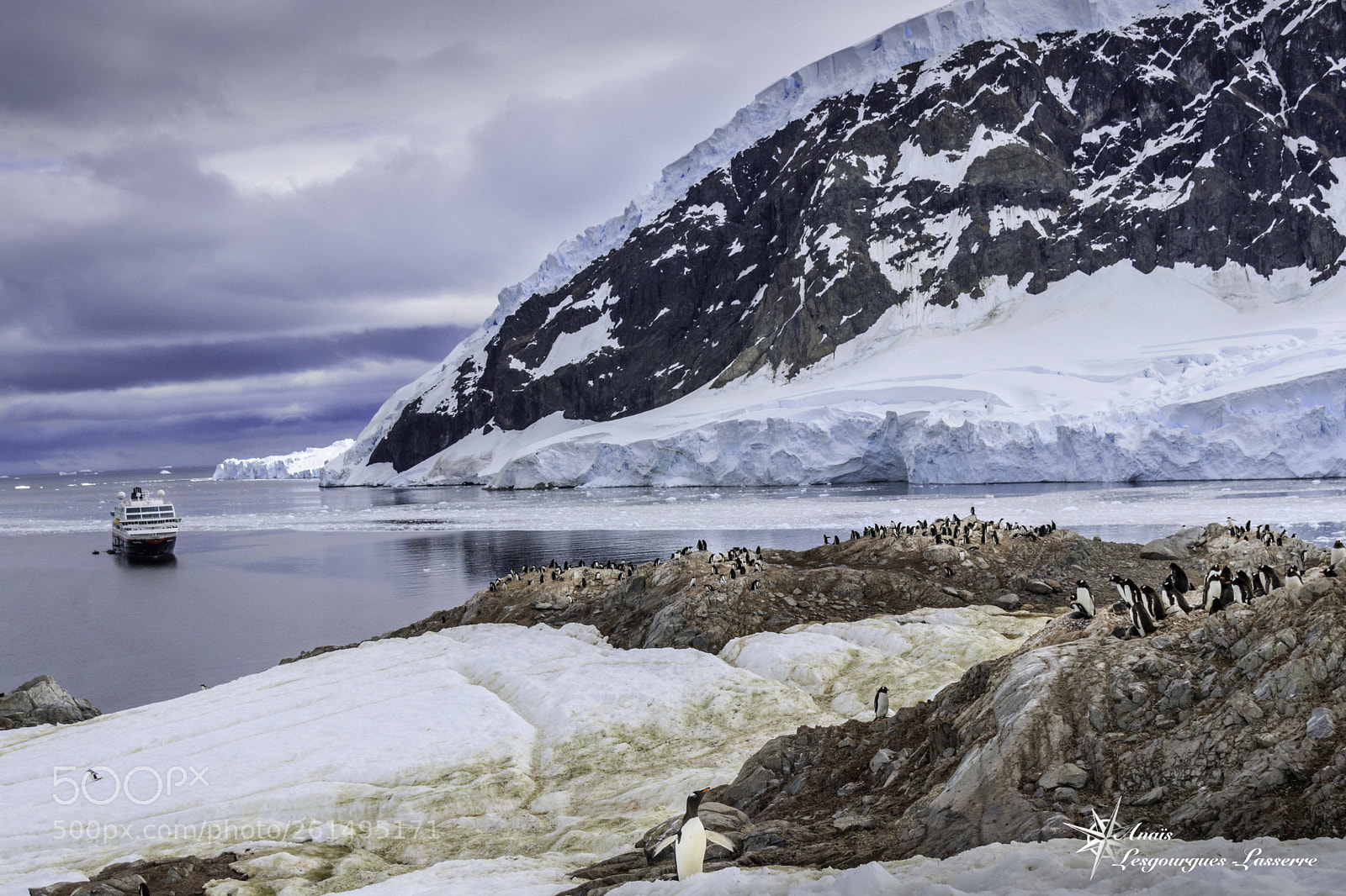 Canon EOS 80D sample photo. Antarctica photography