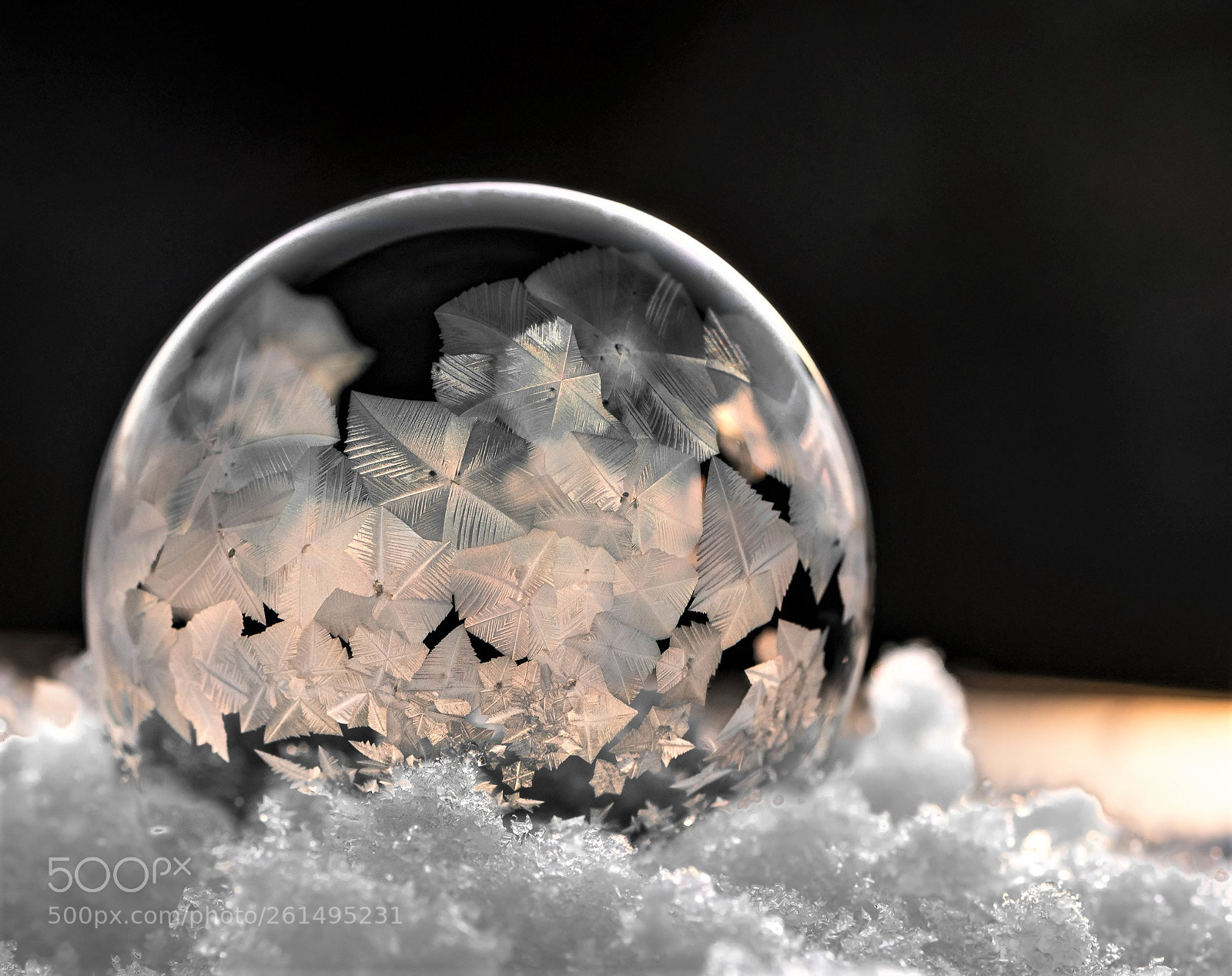 Nikon D500 sample photo. Frozen soap bubble photography