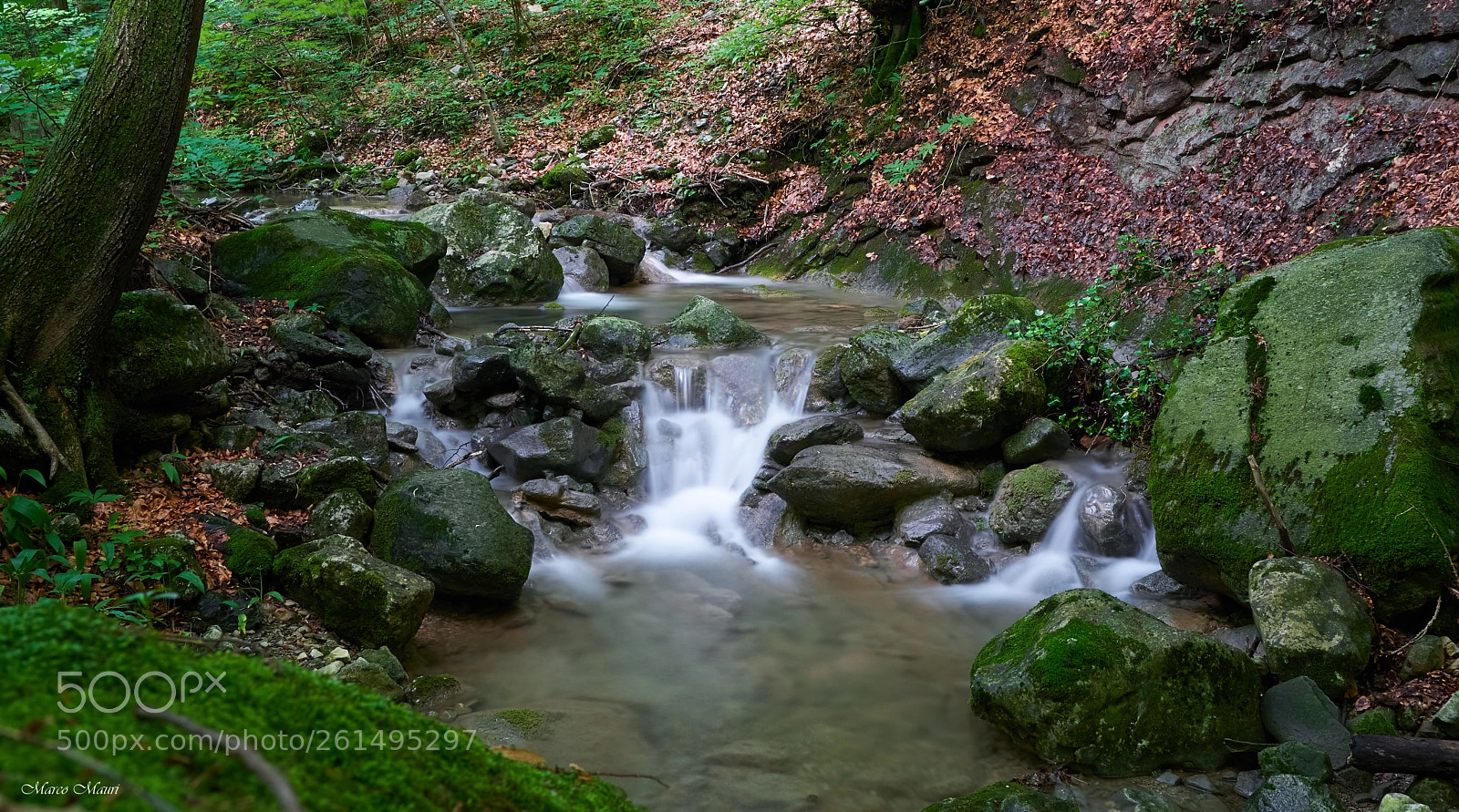 Sony a6000 sample photo. Sentiero geologico di canzo photography