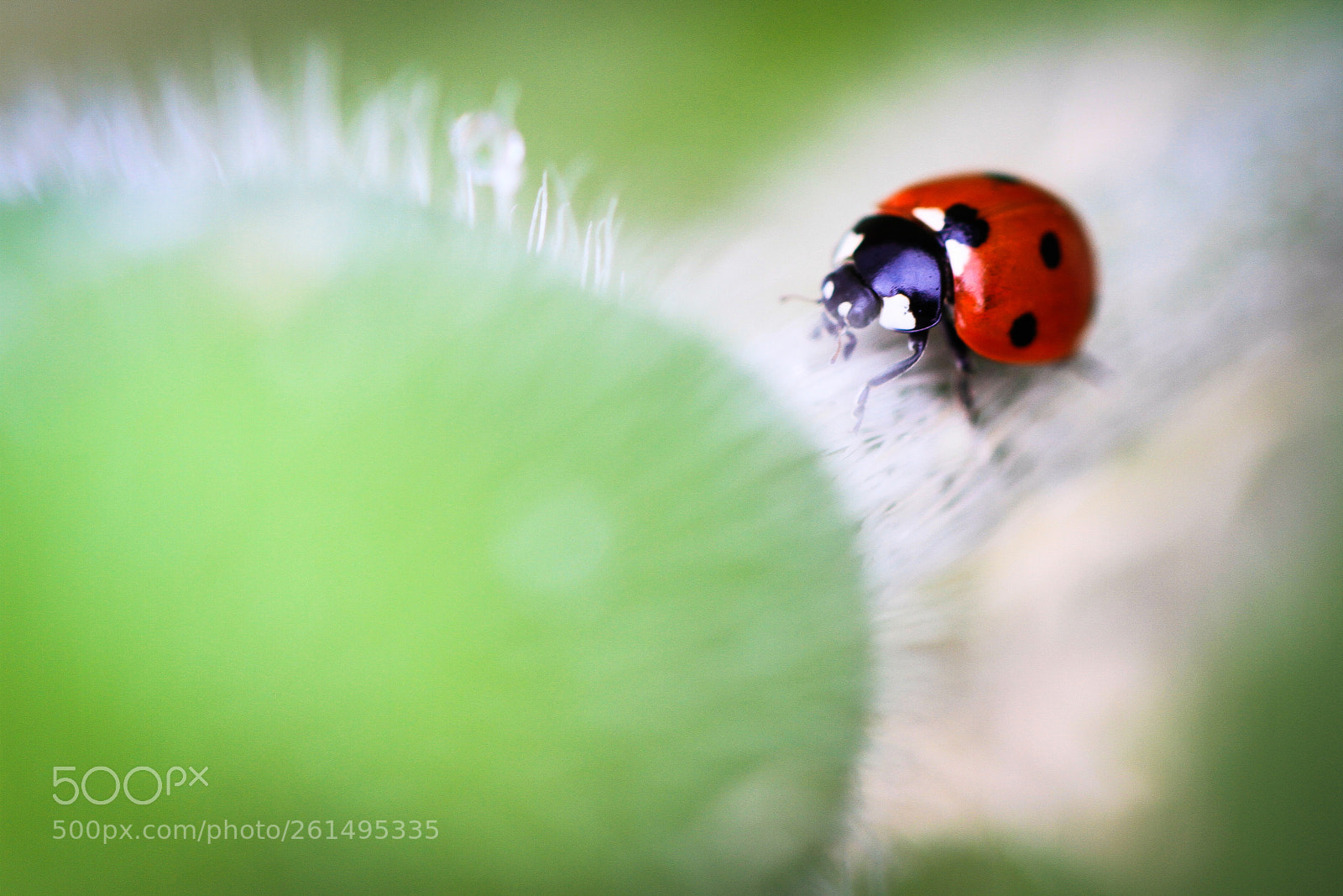 Canon EOS 7D sample photo. Travels photography
