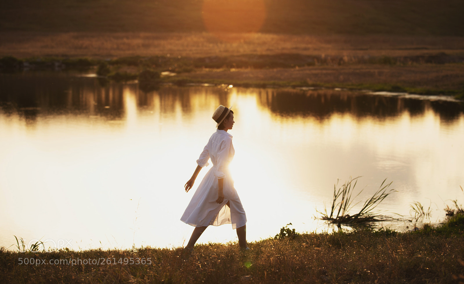 Canon EOS 5D Mark IV sample photo. 逆光下 photography