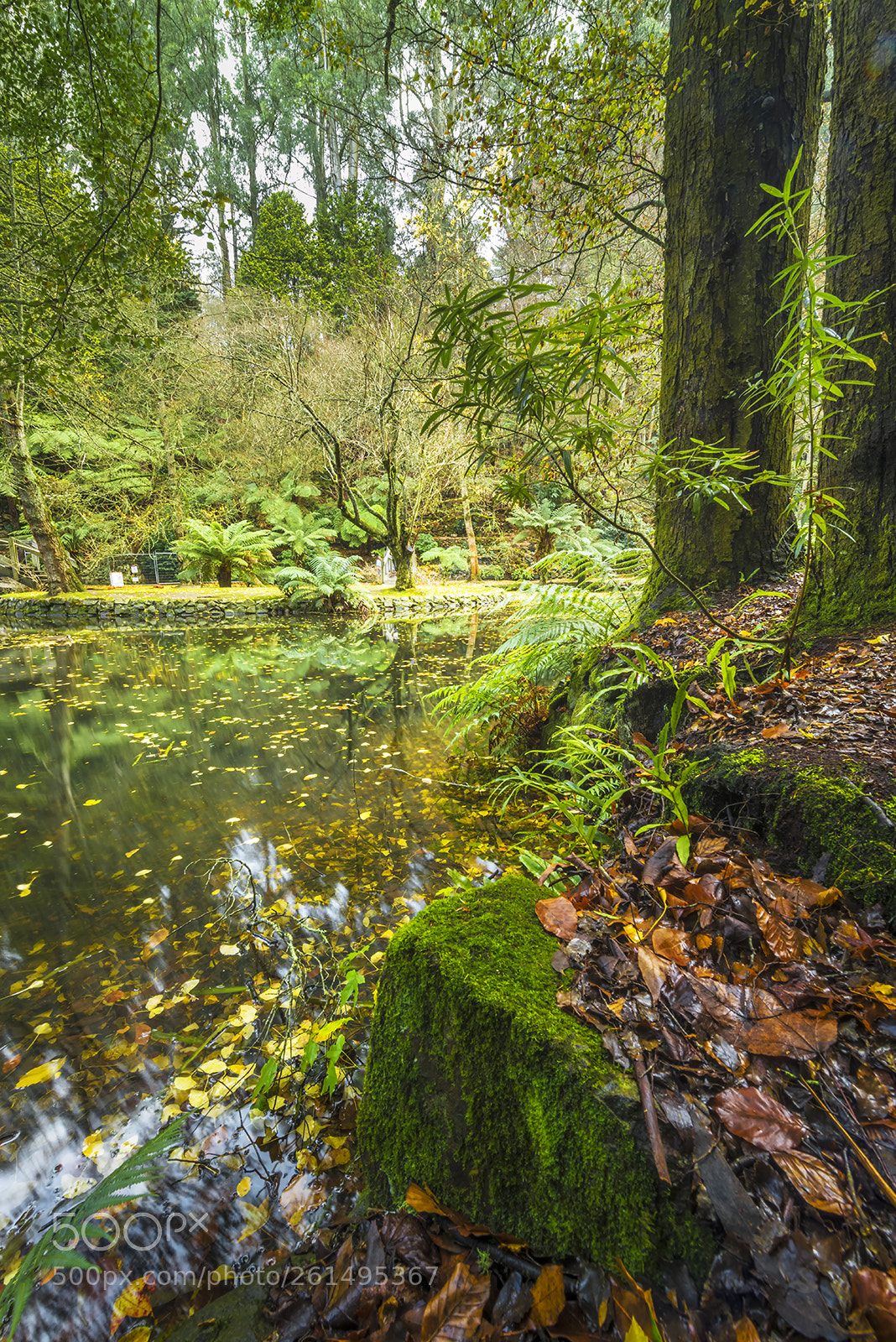 Nikon D810 sample photo. Alfred nicholas memorial garden photography