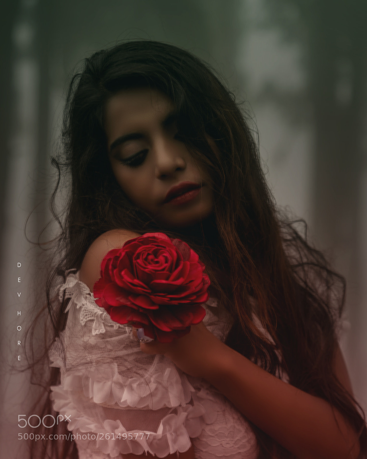 Nikon D750 sample photo. Untitled photography