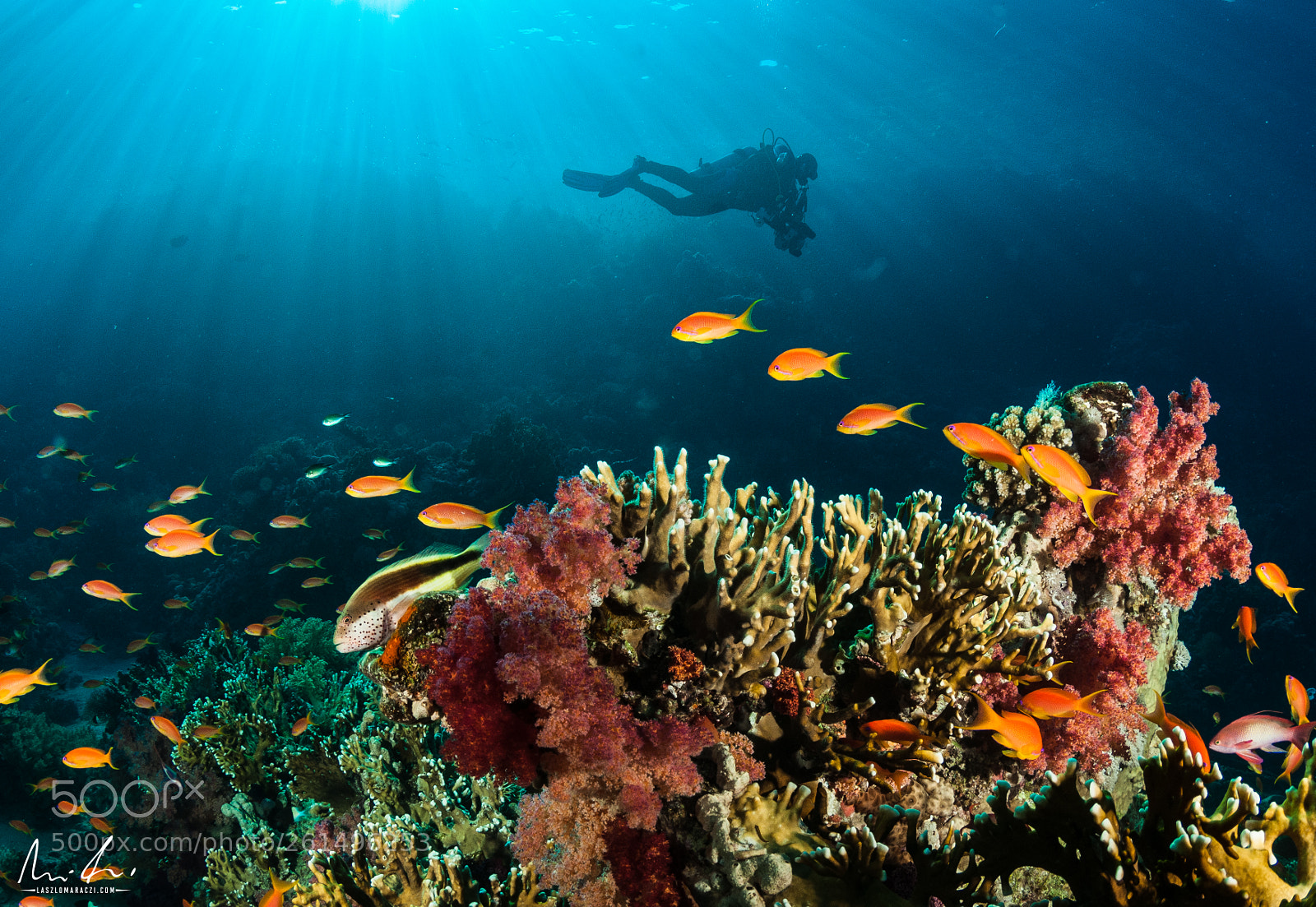 Nikon D300 sample photo. Scenic reef photography