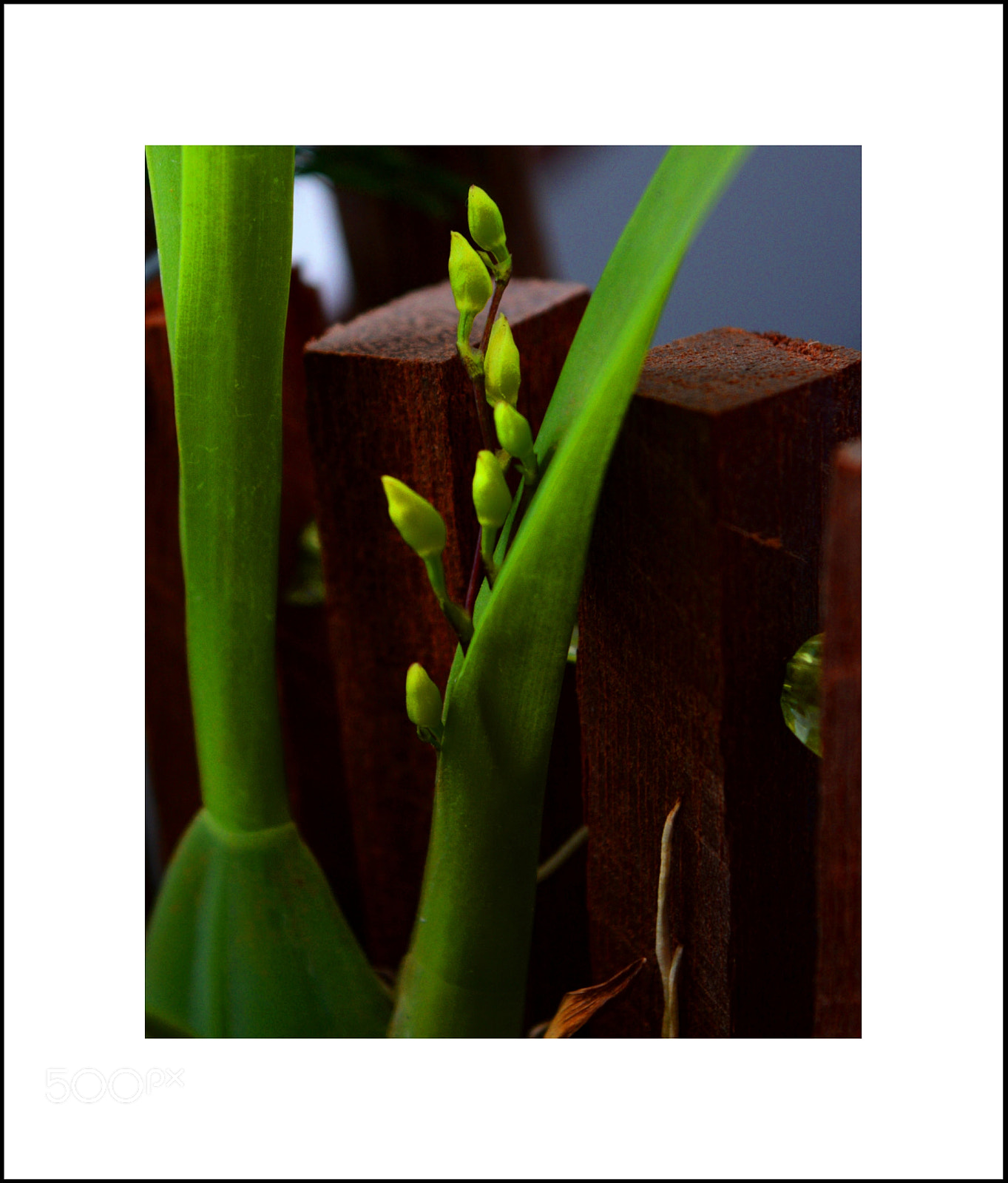 Nikon D5300 sample photo. "toyou" photography