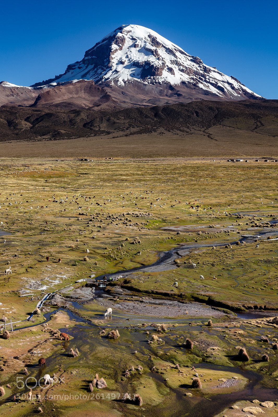 Canon EOS 5DS sample photo. Bolivia, altiplano - sajama photography
