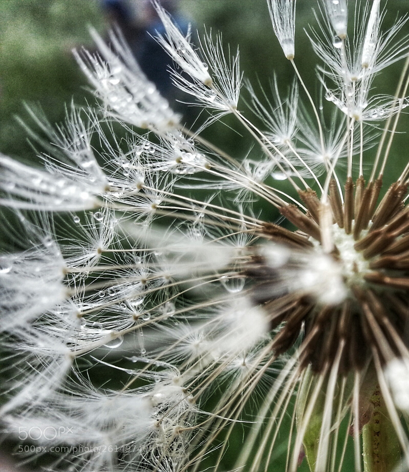 Samsung Galaxy S3 sample photo. After rain... photography