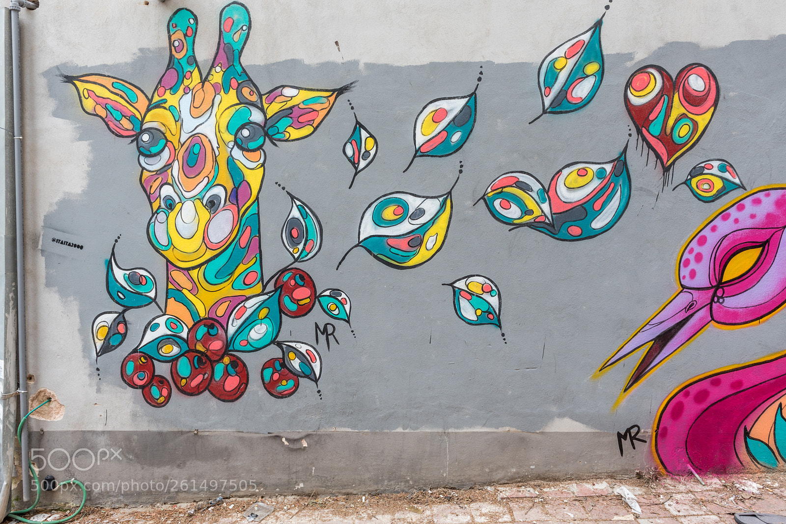 Nikon D750 sample photo. Graffiti on and around photography