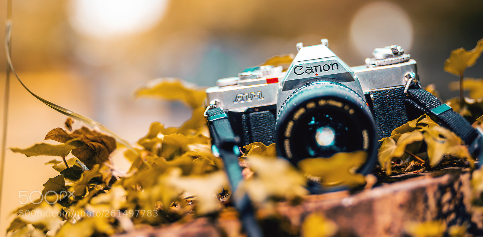 Canon EOS 6D sample photo. Canon av-1 photography