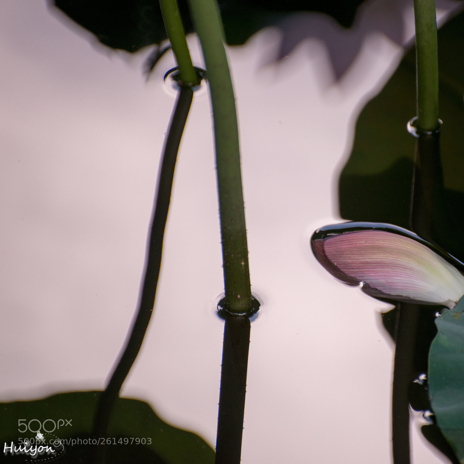 Nikon D800 sample photo. Untitled photography
