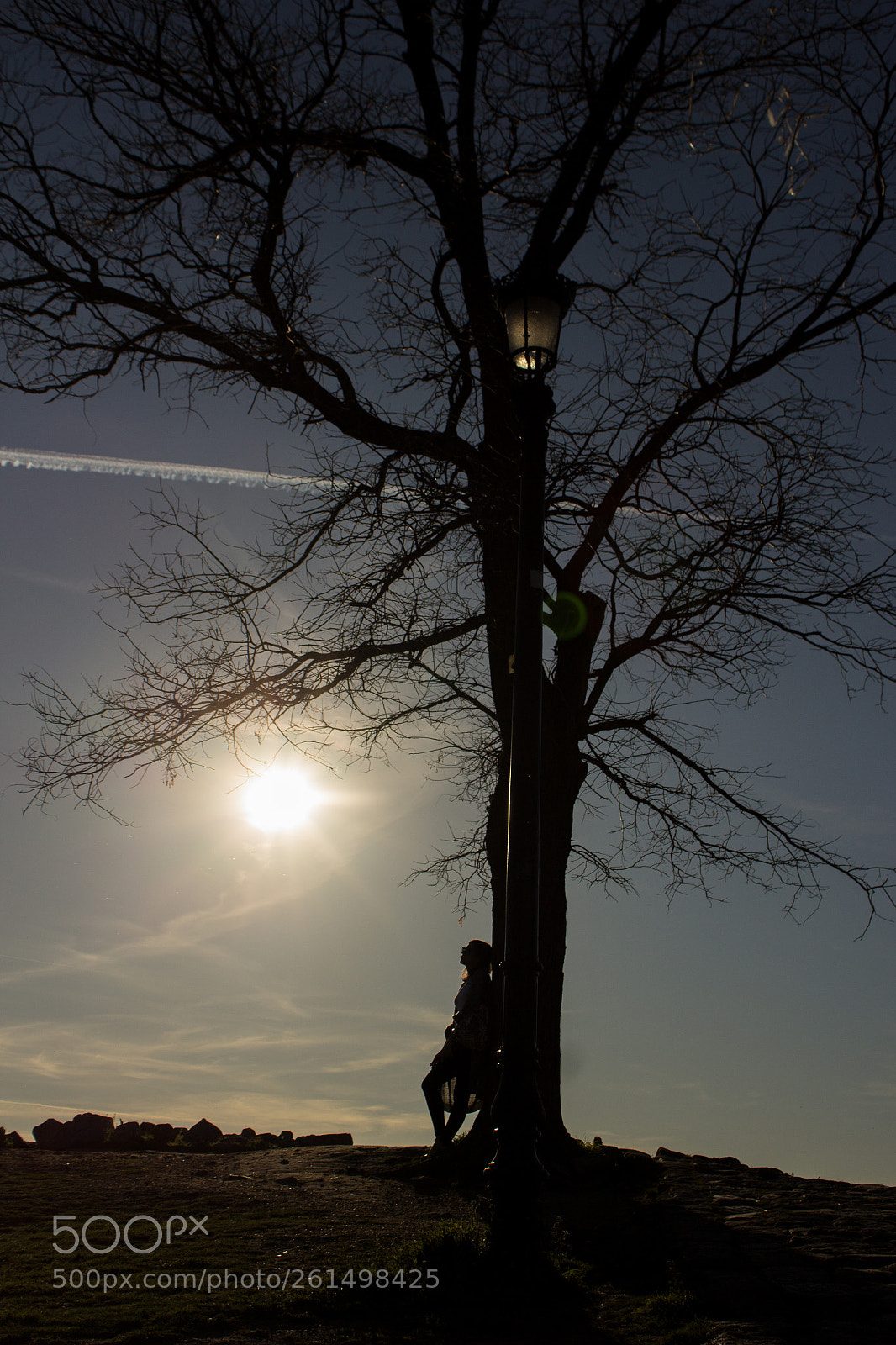 Canon EOS 1200D (EOS Rebel T5 / EOS Kiss X70 / EOS Hi) sample photo. Thoughts under the tree photography