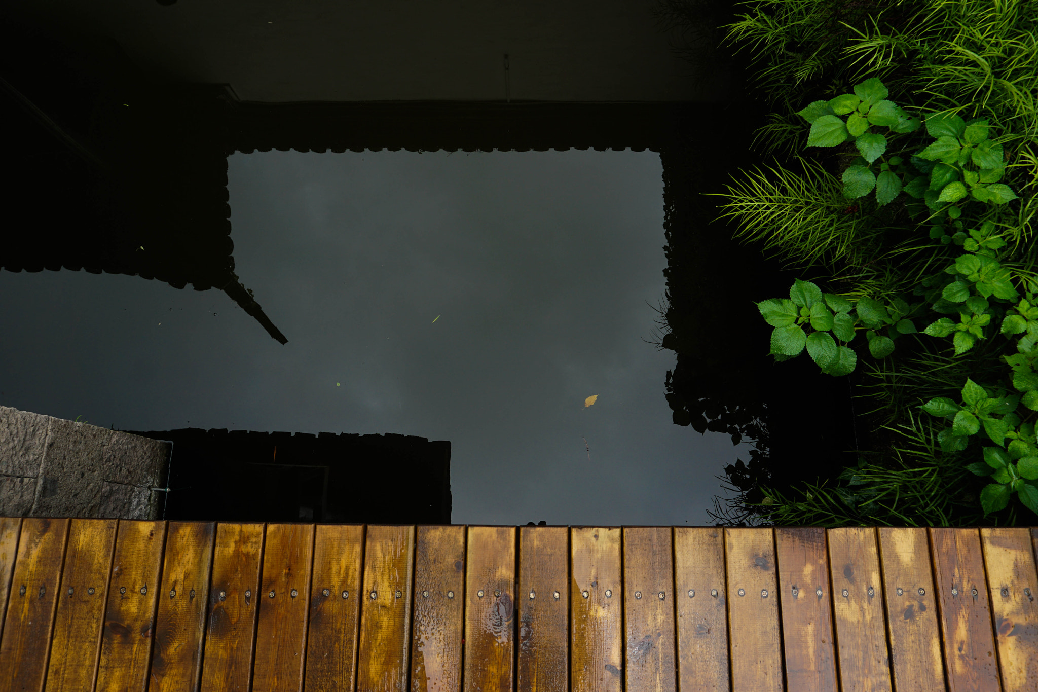 Sony a5100 sample photo. 鲁迅故居 岂止美哉 photography